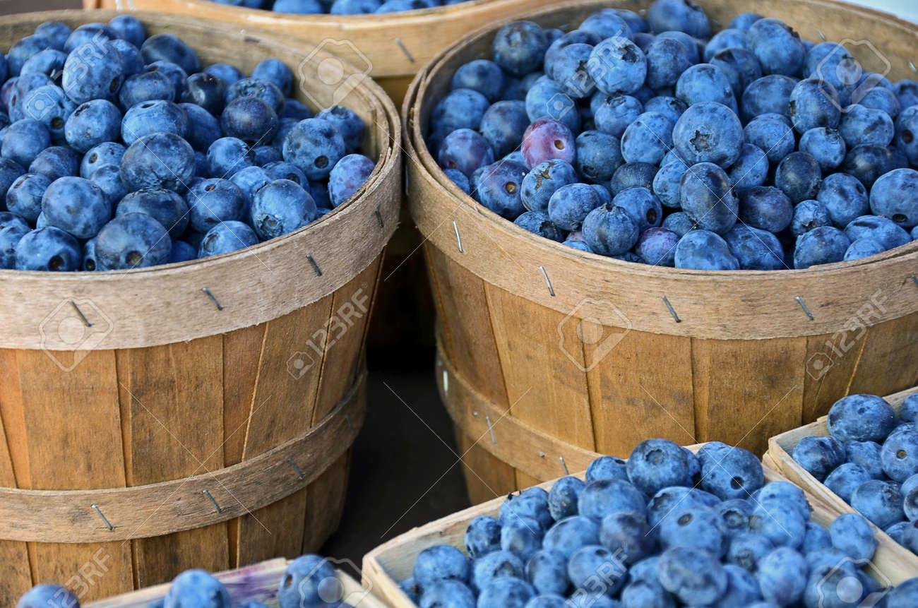 blueberries in bushel baskets