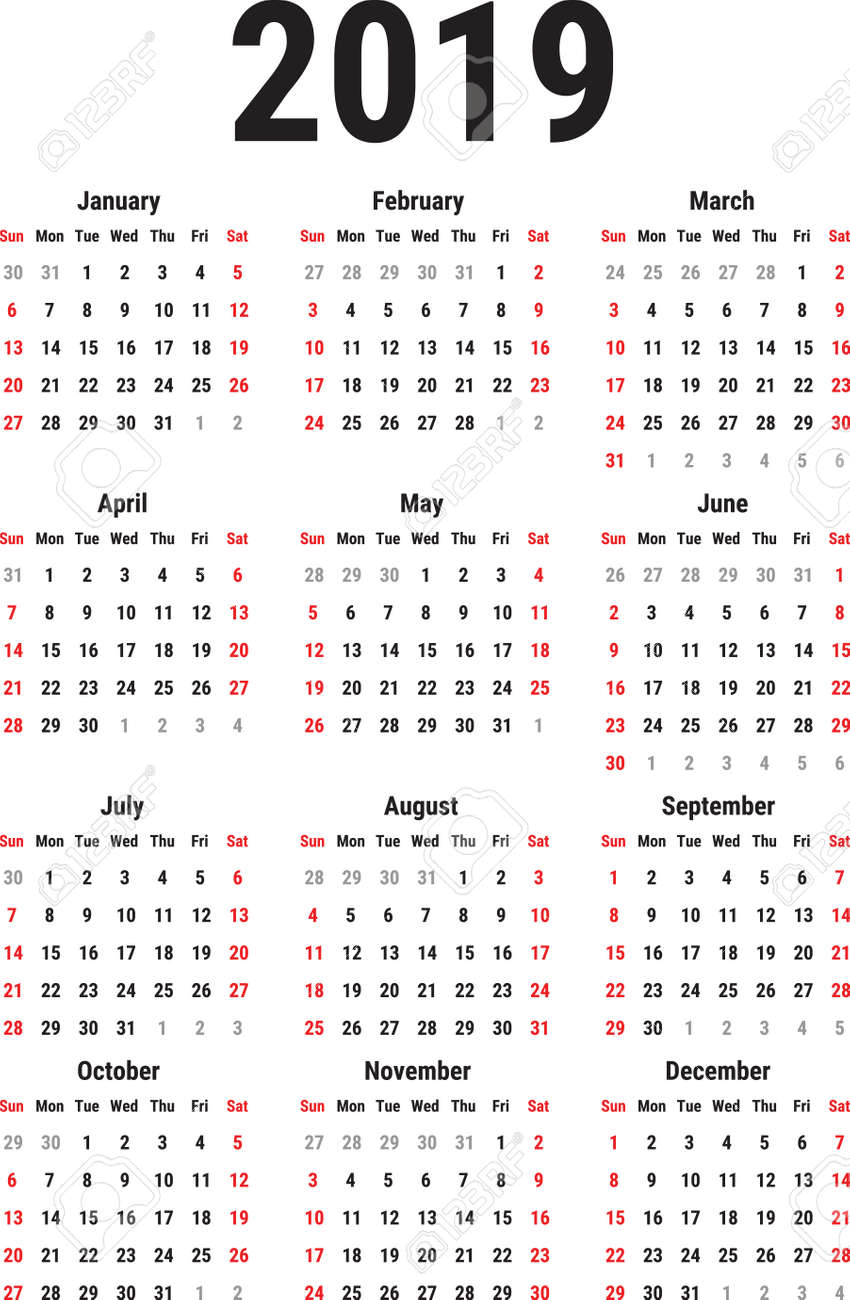 calendar for the year 2019 on white background week starts sunday the year calendar