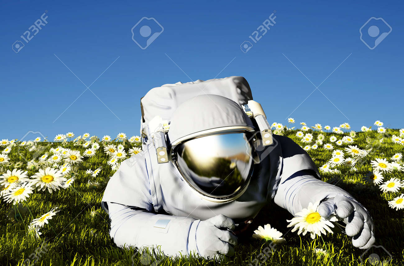 花の野原の宇宙飛行士 の写真素材 画像素材 Image 5578