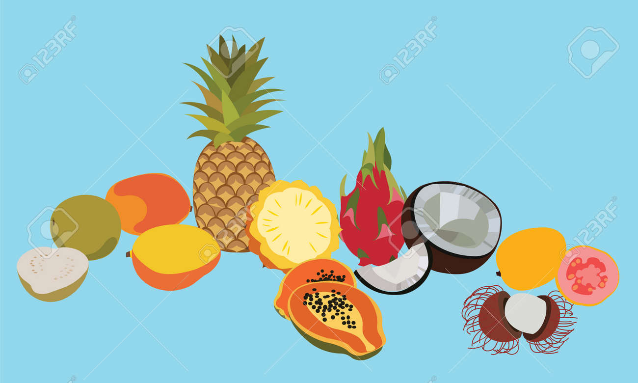 熱帯果物分離ベクトルを設定します 果物を設定します 分離の果物 さまざまな果物 分離の果物 トロピカル フルーツのイラスト です フラットの果物セット エキゾチックなフルーツ 青の背景に分離された果物 フルーツのイラスト素材 ベクタ Image