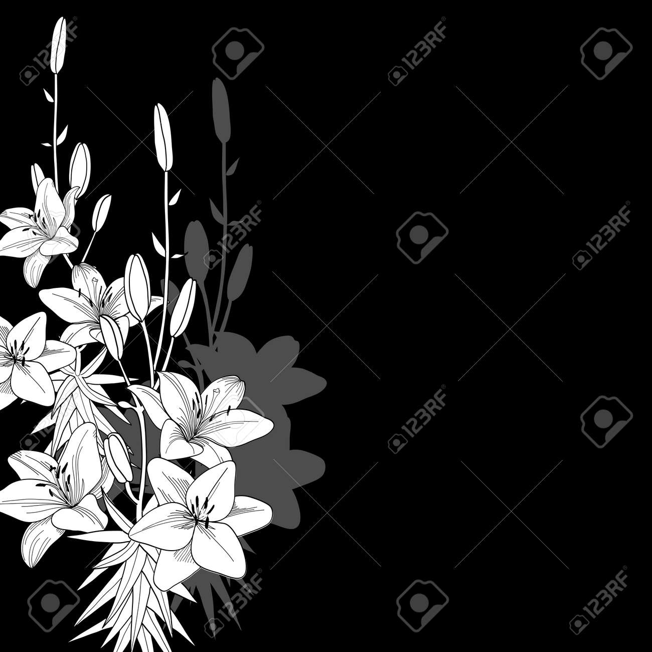 Black Lily Background Royalty Free Cliparts Vectors And Stock Illustration Image