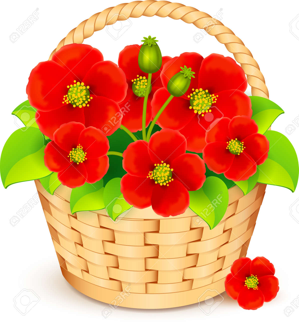 Vector Basket With Beautiful Red Flowers Royalty Free SVG, Cliparts, Vectors,  and Stock Illustration. Image 19047218.