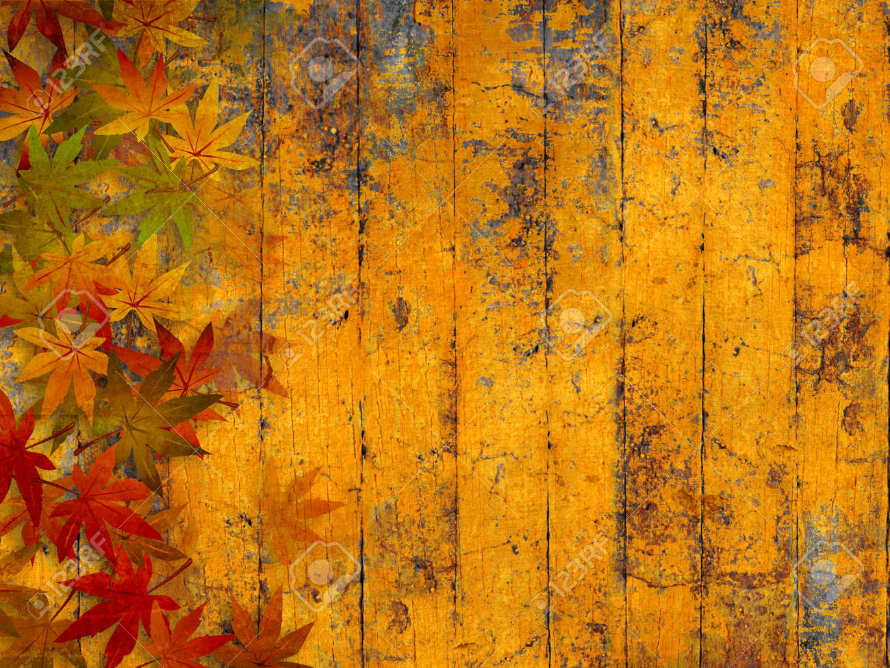 秋の紅葉とグランジ秋背景 の写真素材 画像素材 Image