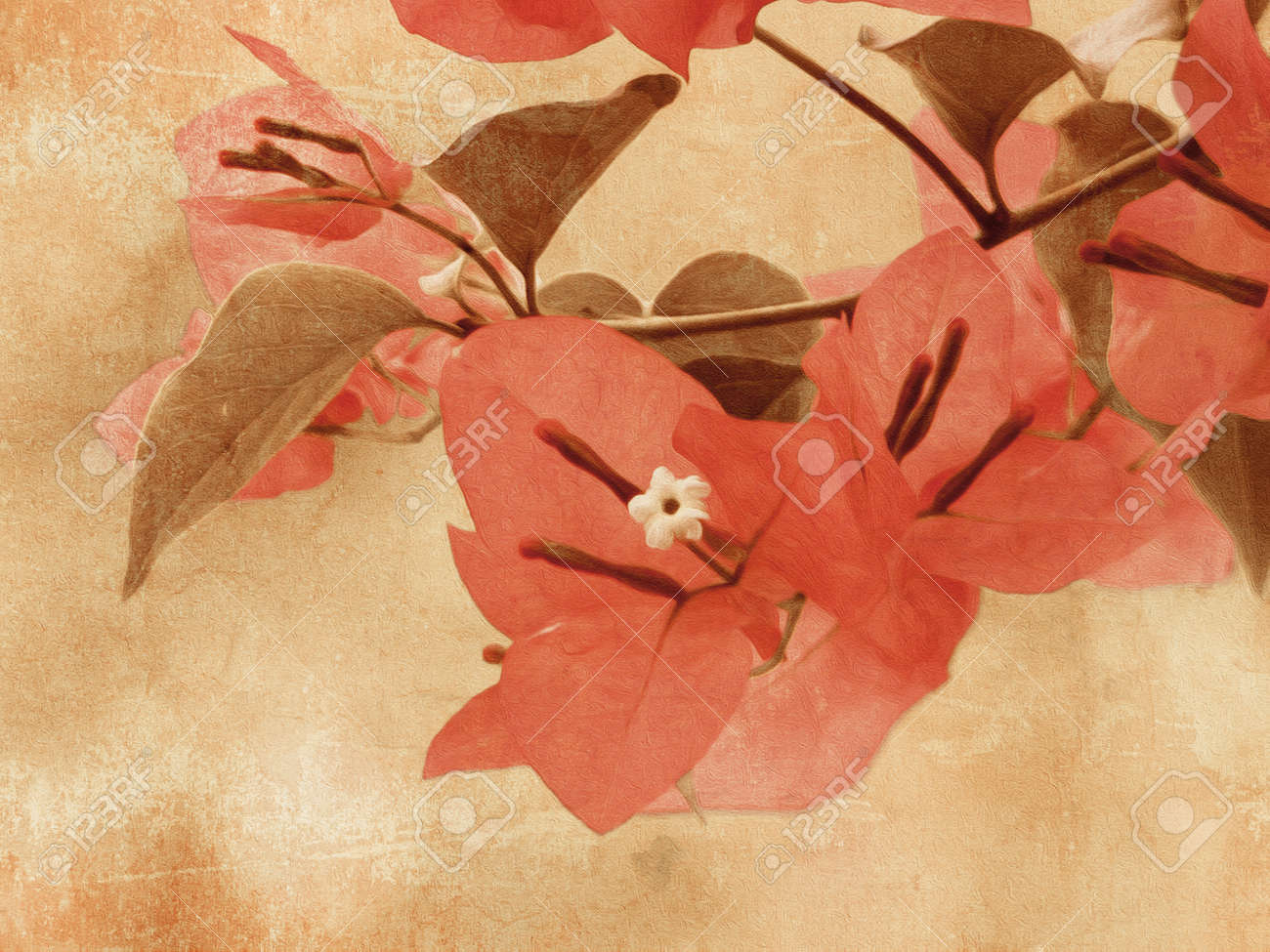 ブーゲンビリア ビンテージ花背景 デジタル油絵 の写真素材 画像素材 Image