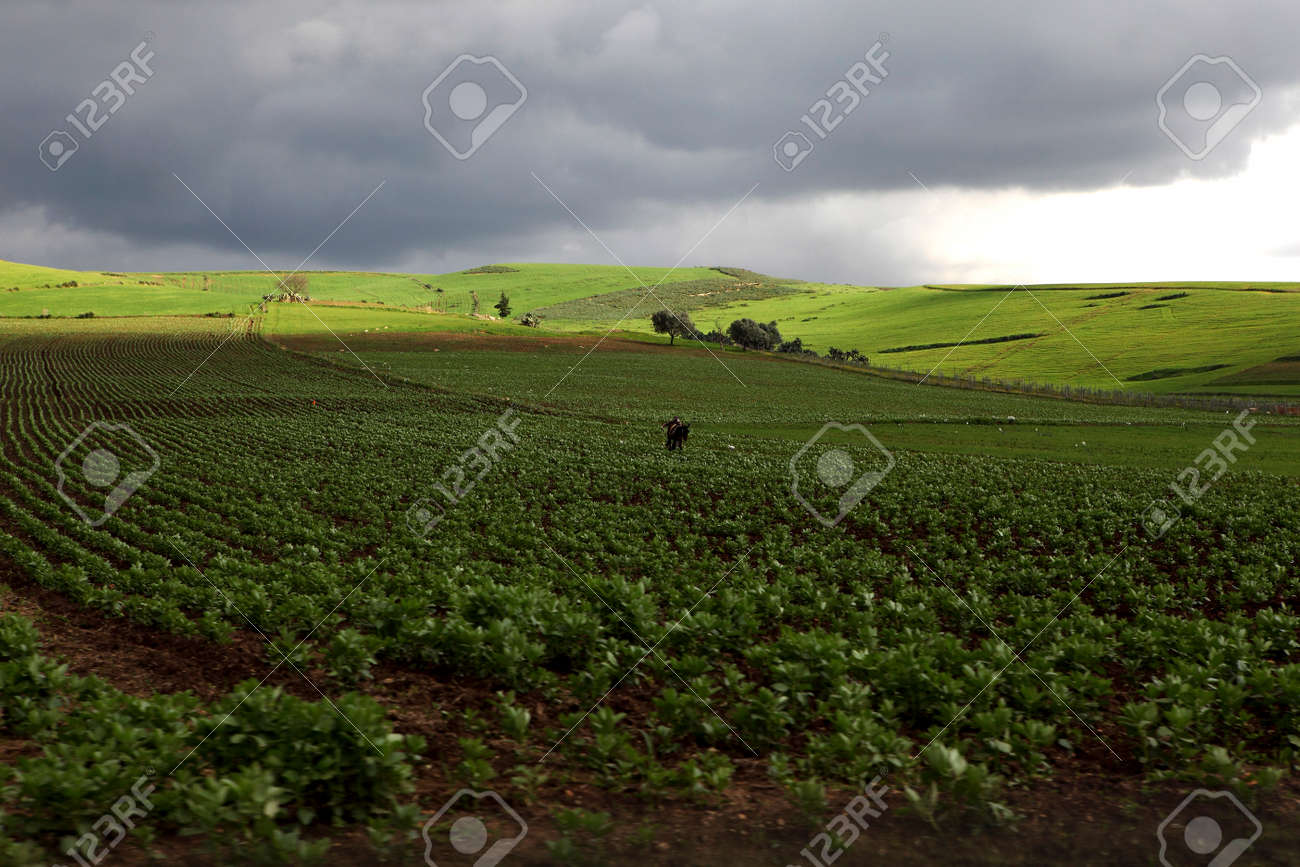 Schone Landschaft In Ifrane Marokko Lizenzfreie Fotos Bilder Und Stock Fotografie Image