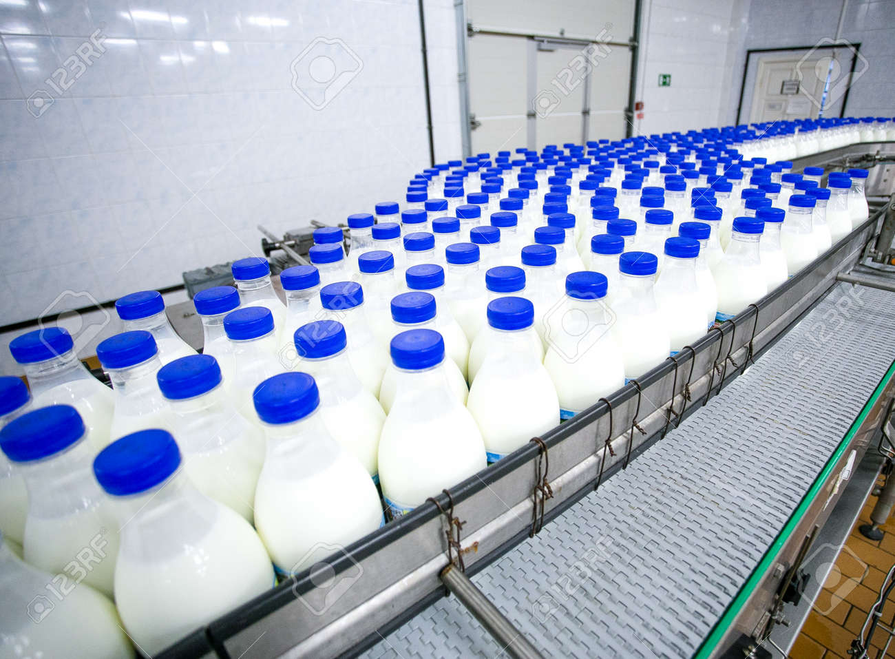 Dairy plant, conveyor with milk bottles in food factory - 53401438 Dairy plant, conveyor with milk bottles in food factory - 53401438