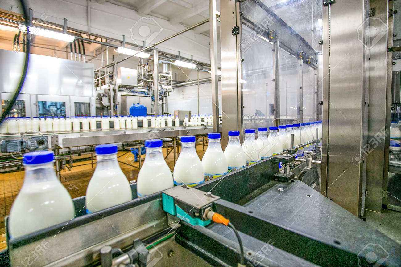 Milk production at factory. White bottles with blue tops going through conveyer line with another line and stainless steel background inside of factory - 53401427 Milk production at factory. White bottles with blue tops going through conveyer line with another line and stainless steel background inside of factory - 53401427