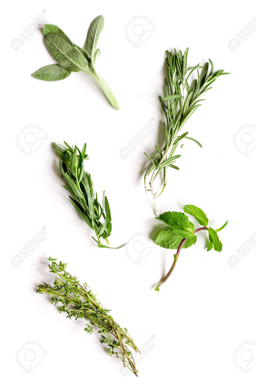 mint, sage, rosemary, thyme - tufts of herbs white background top view - 65033361 mint, sage, rosemary, thyme - tufts of herbs white background top view - 65033361