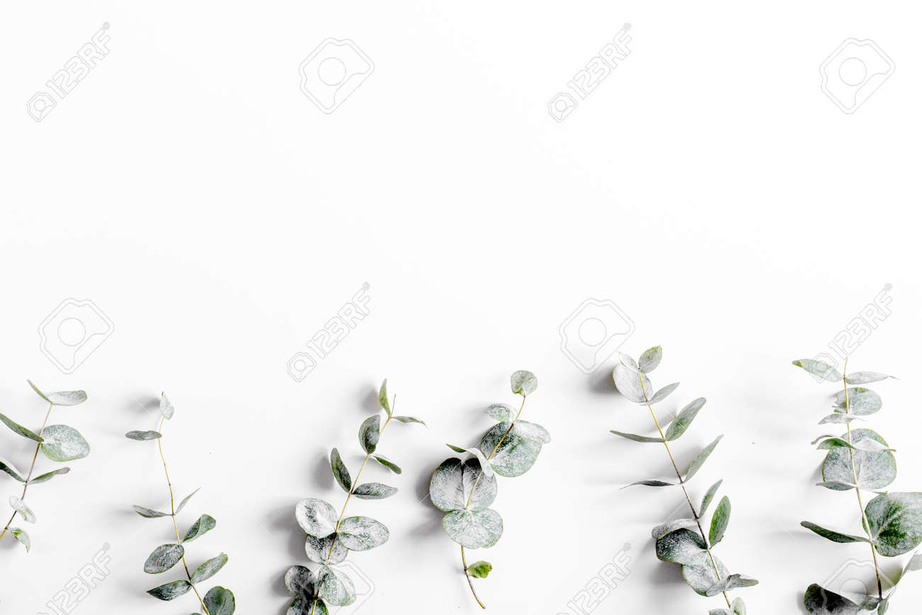 Modern spring design with plants on white background top view mock-up - 76227376 Modern spring design with plants on white background top view mock-up - 76227376