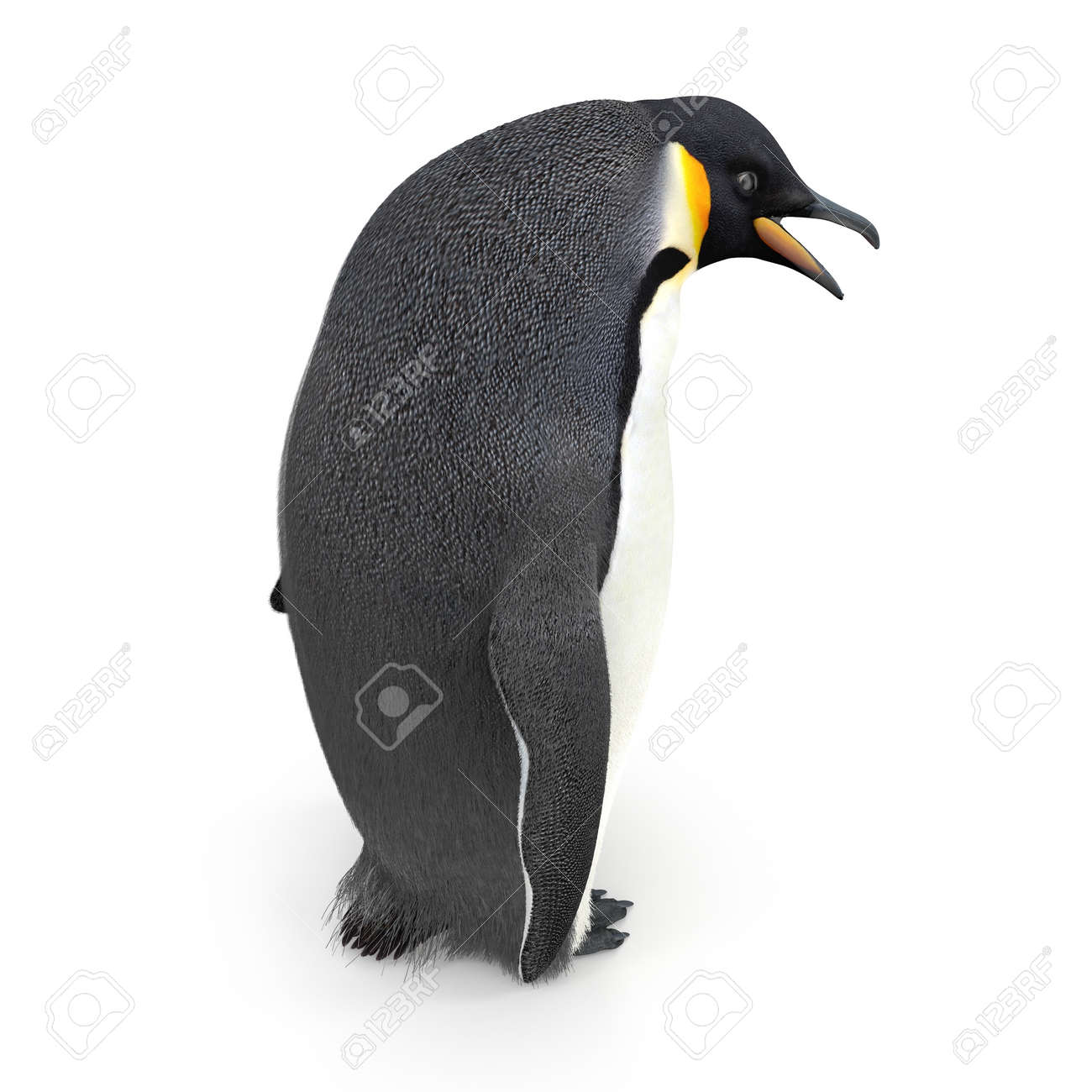 皇帝ペンギン 白で隔離される 3d イラストレーション の写真素材 画像素材 Image