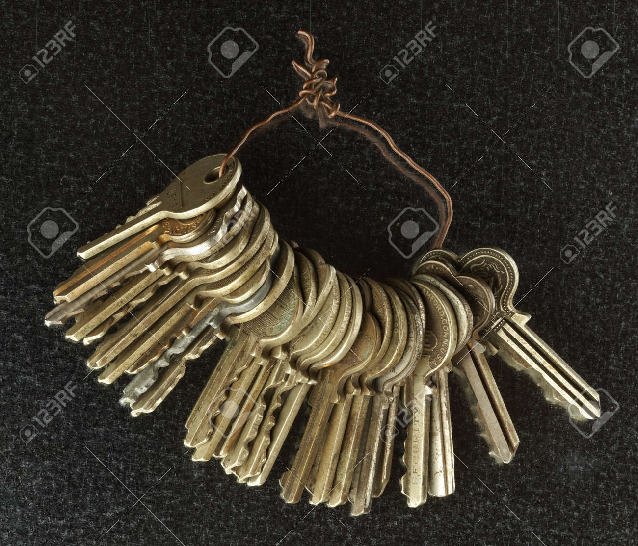 etiam-dictum-ipsum-a-felis