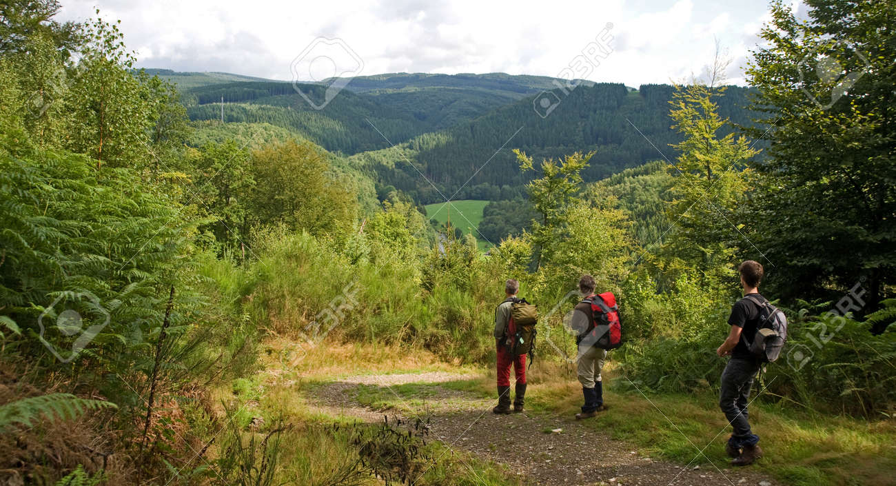 ardennes montagnes -
