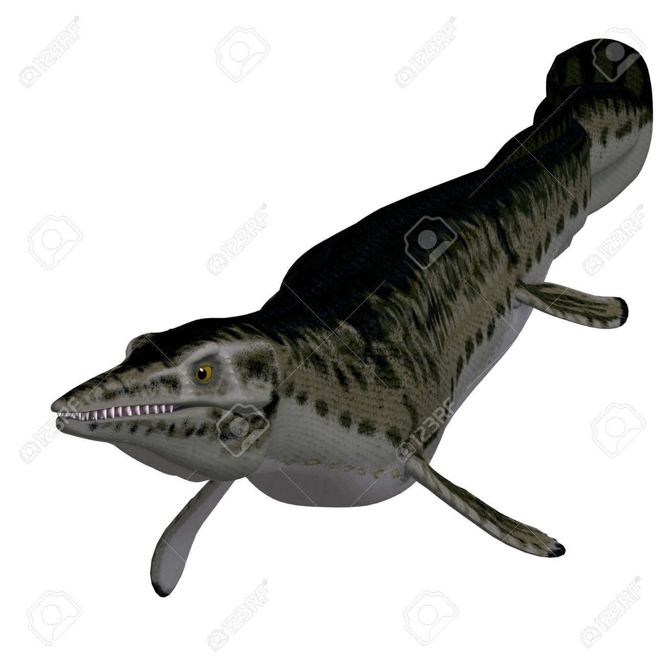 水中恐竜 Mosasaur 3 D のクリッピングを使用してレンダリングおよび白影 の写真素材 画像素材 Image
