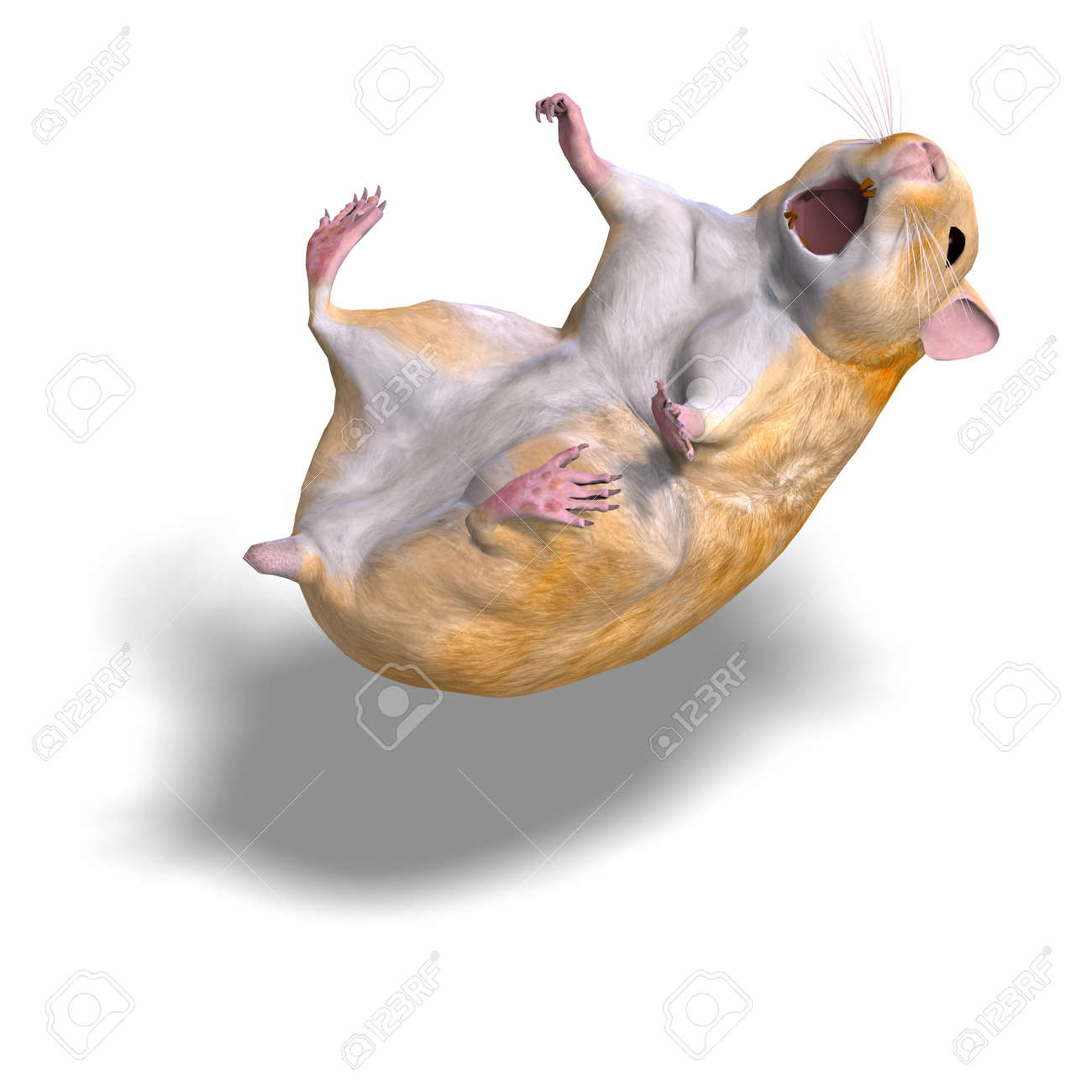 3d hamster
