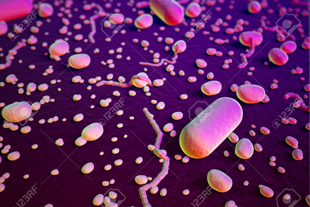 顕微鏡下でバクテリア。また、ほこり、死んだ細胞や微生物を表す