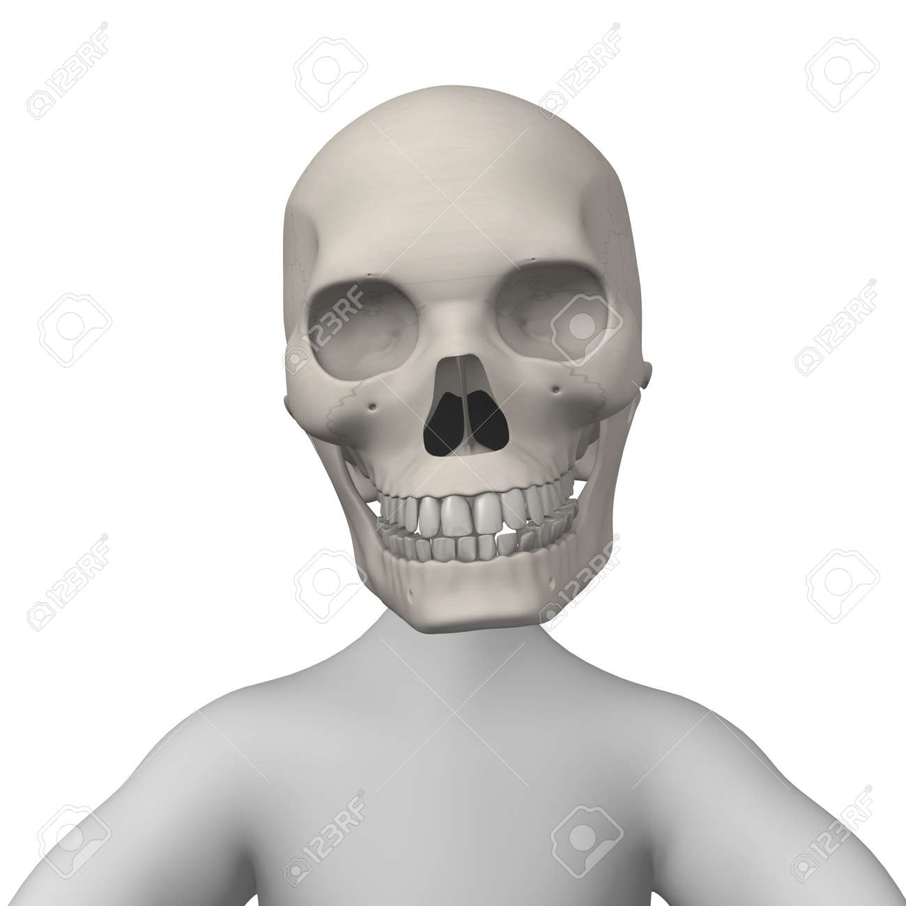 3d Render Of Cartoon Character With Male Skull Stock Photo, Picture And  Royalty Free Image. Image 12958381.