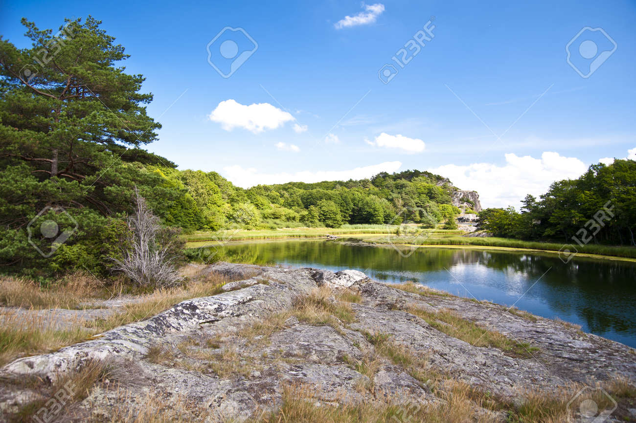 landscape in southern sweden