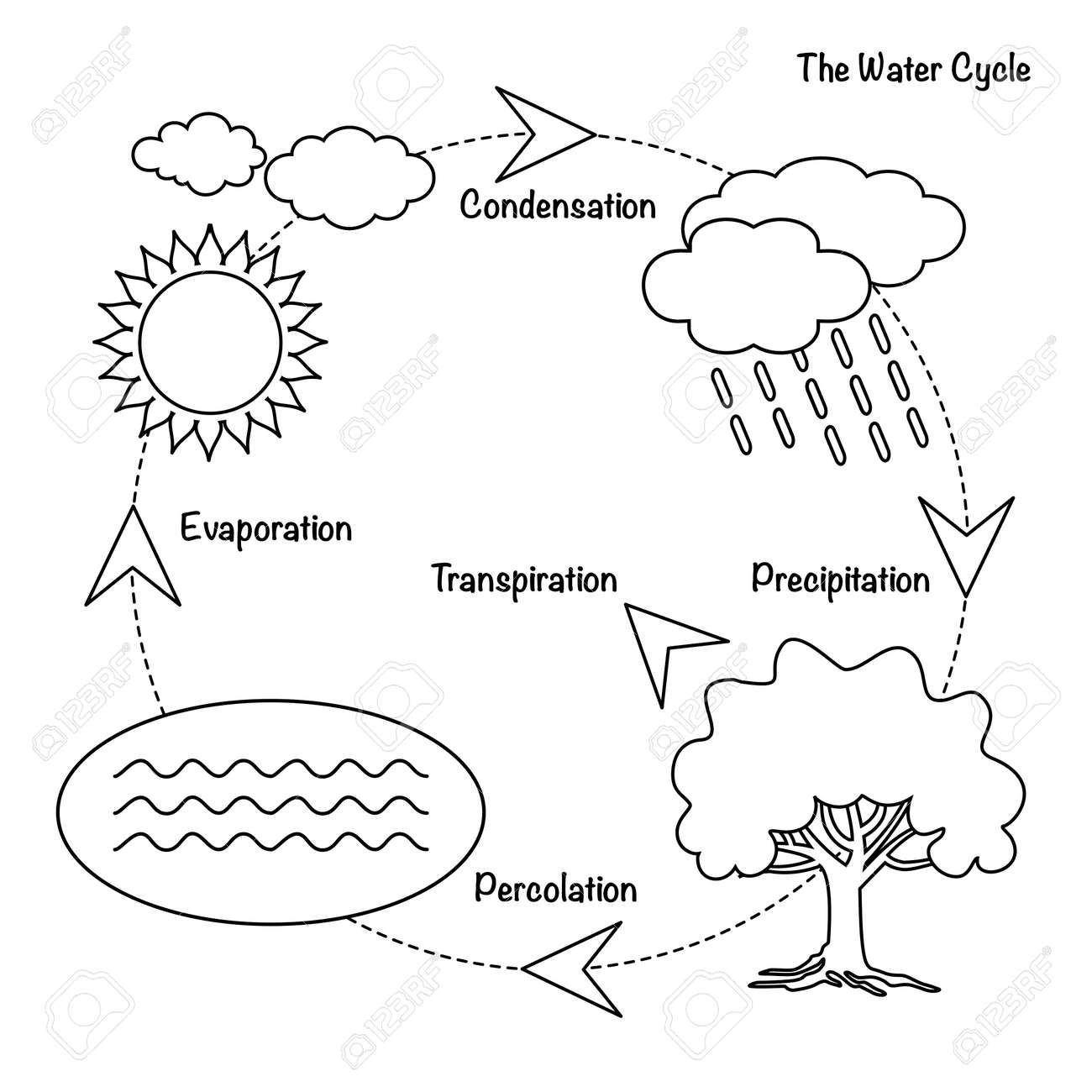 Représentation Schématique Du Cycle De Leau Dans La Nature Illustration Du Diagramme Du Cycle De Leau Faire Du Cycle De Leau Dans Lenvironnement