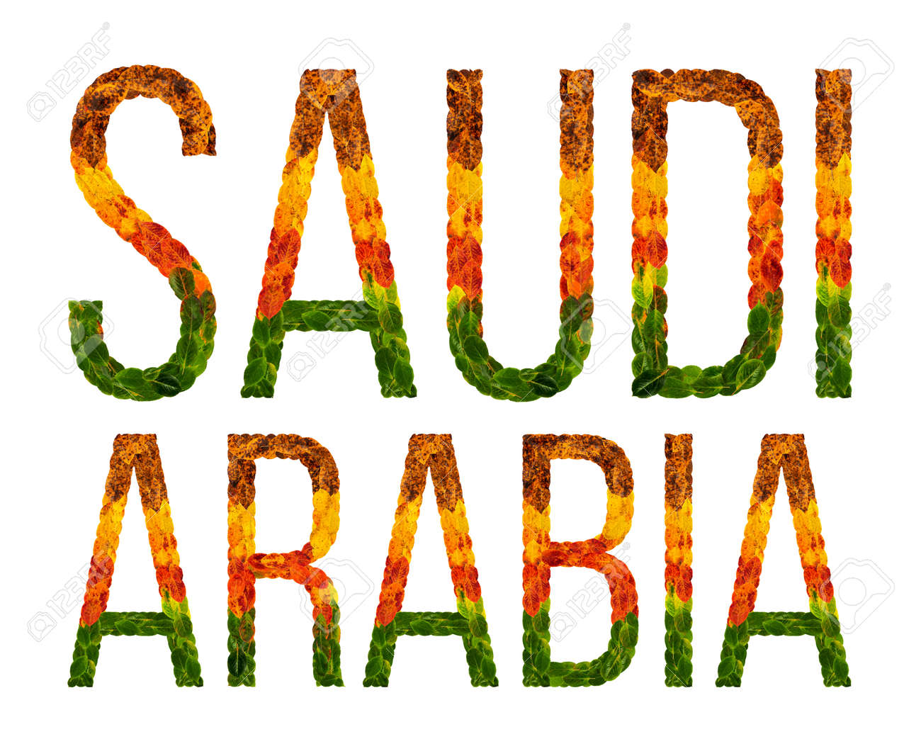Saudi Arabia Word Is Written With Leaves White Isolated Background Banner For Printing Beautiful Inscription Poster Of Color Leaves Saudi Arabia Stock Photo Picture And Royalty Free Image Image 91900832