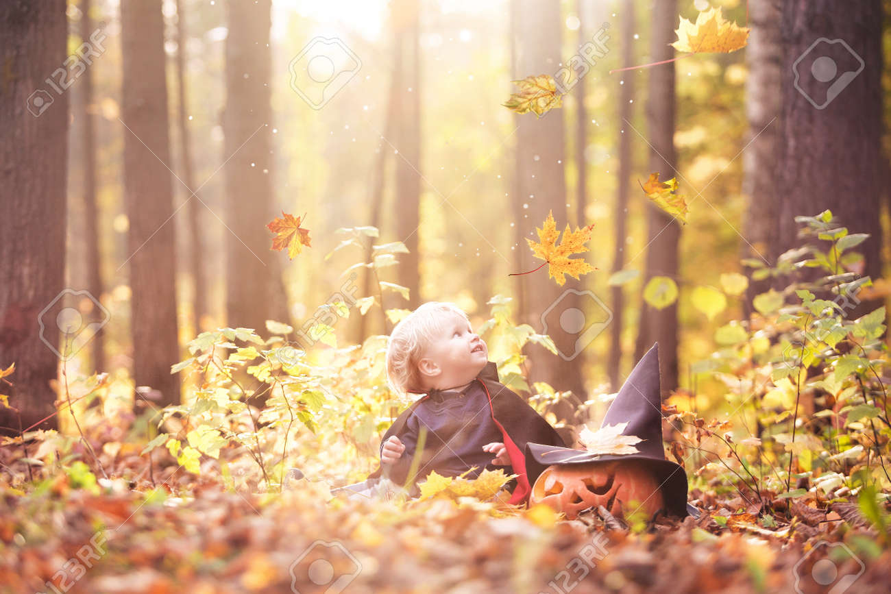 Halloween Bebe Garcon En Costume De Dracula Manteau Enfant Dans La Foret D Automne En Regardant Les Feuilles Qui Tombent Citrouille D Halloween Chapeau De Sorciere Concept De Vacances Banque D Images Et Photos Libres