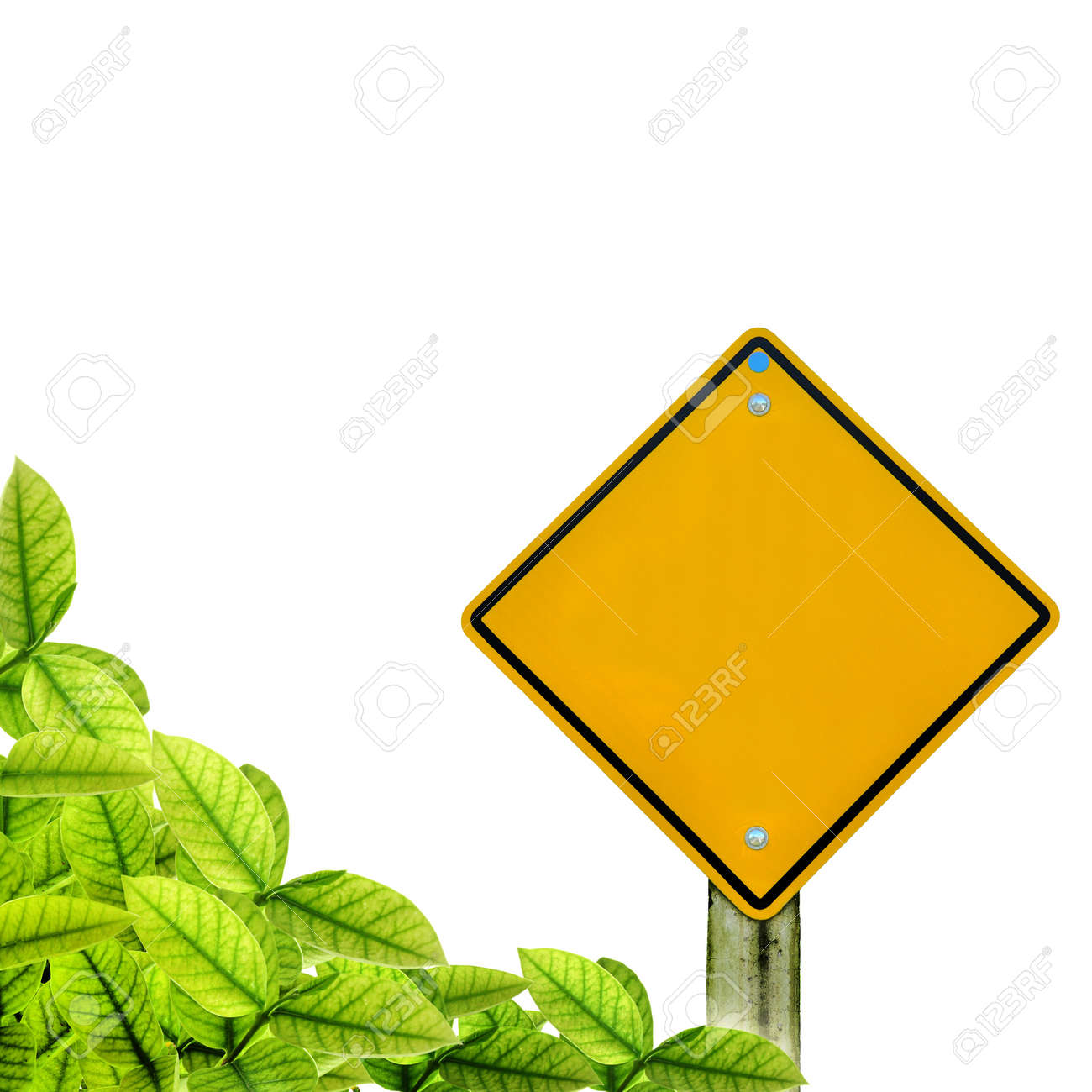 blank road sign with