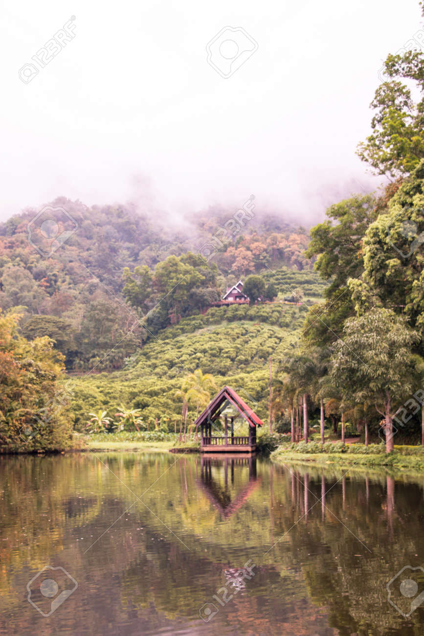 Kleines Schwimmendes Haus Am See Mit Weissem Nebel Bedecken Die Spitze Des Hugels Hausboot Am See Am Morgen Mit Weissem Nebel Hintergrund Lizenzfreie Fotos Bilder Und Stock Fotografie Image 70061368