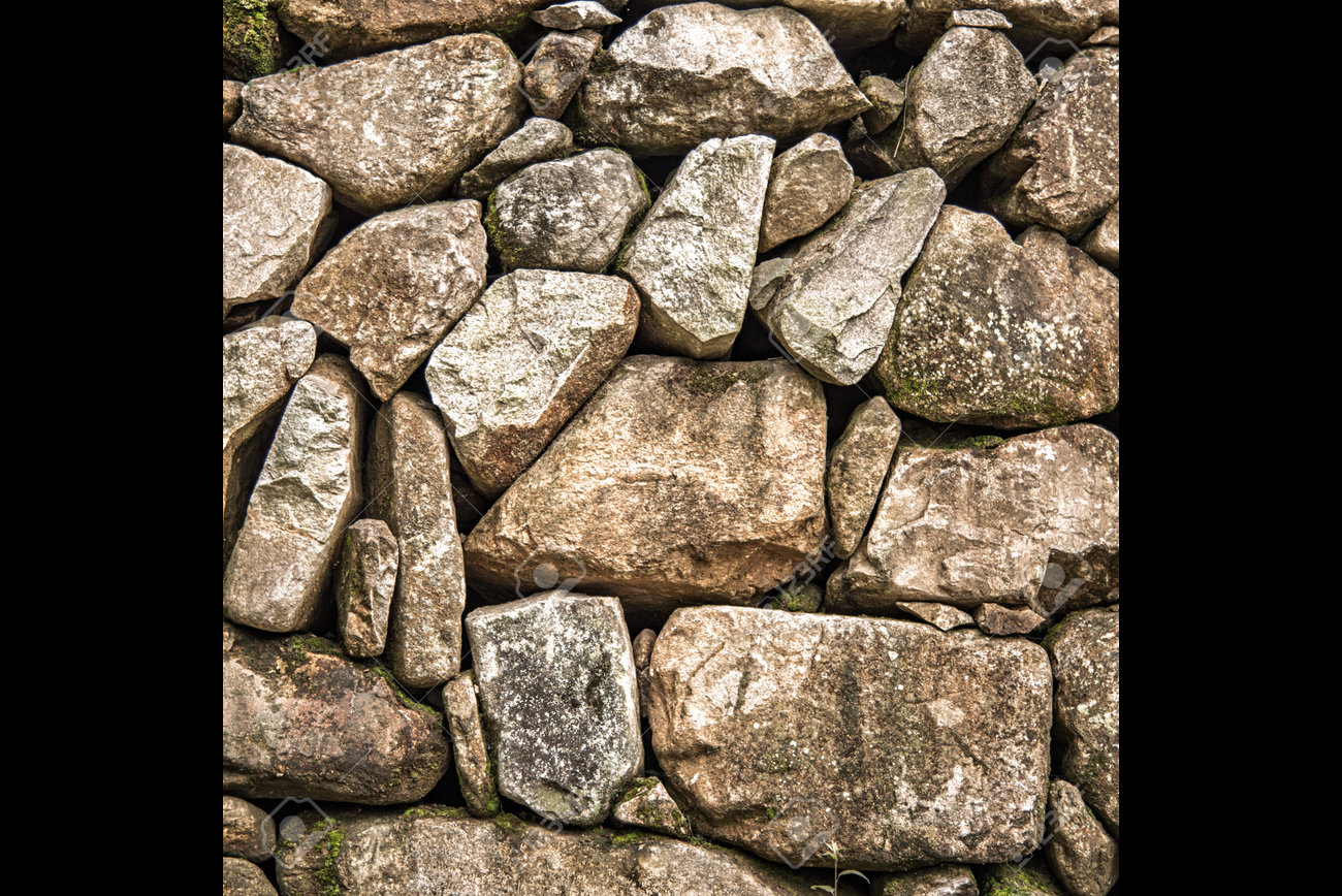 etiam-dictum-ipsum-a-felis