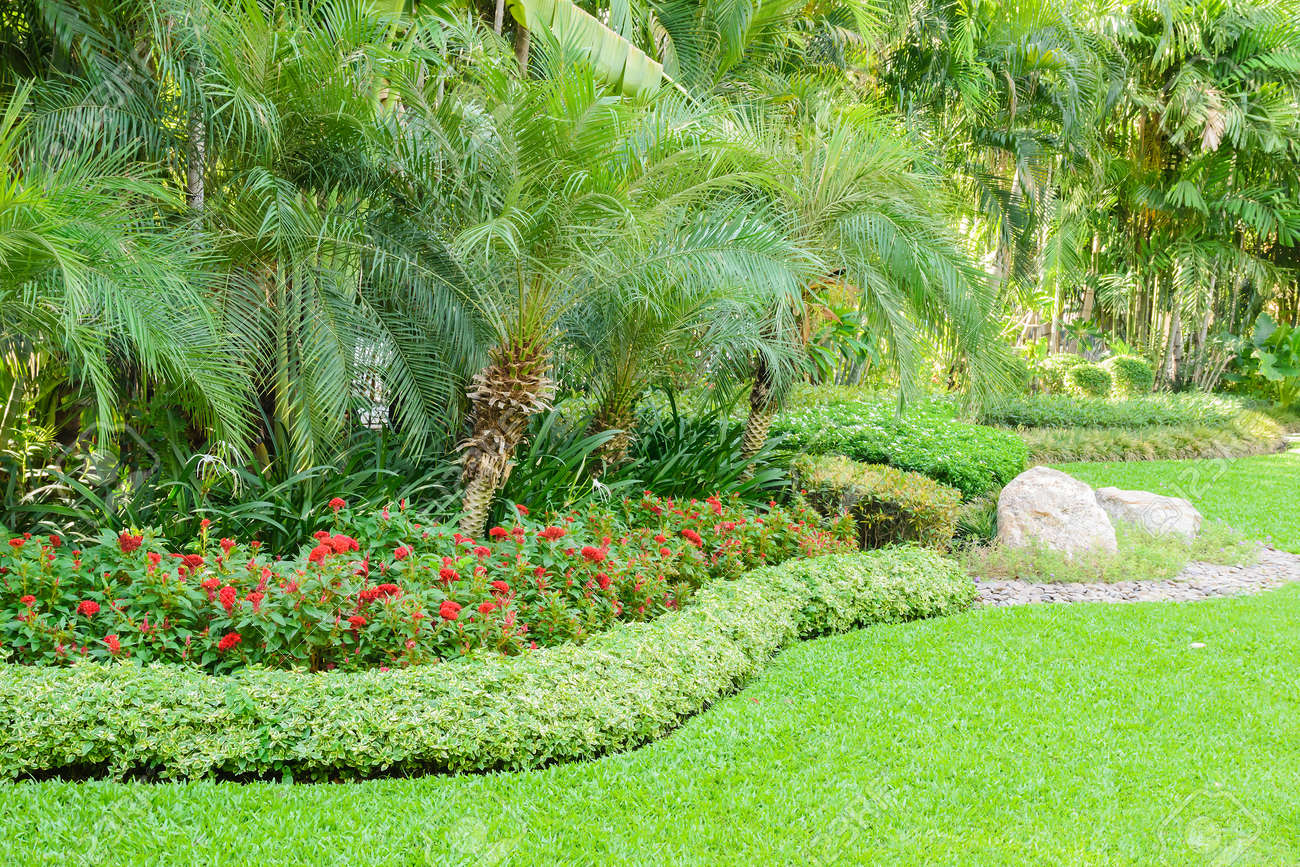 Schones Design Garten Lizenzfreie Fotos Bilder Und Stock Fotografie Image 34998137