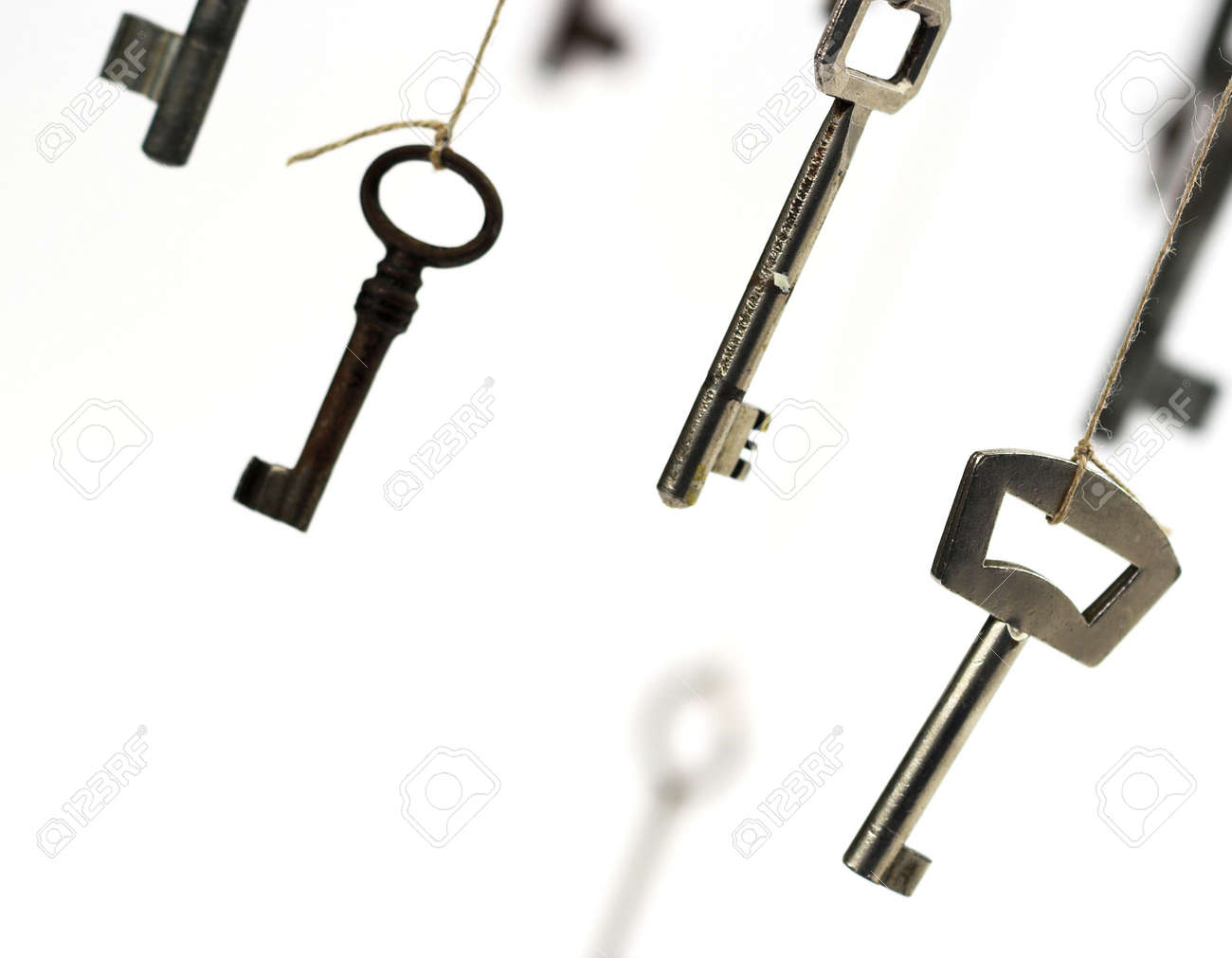 etiam-dictum-ipsum-a-felis