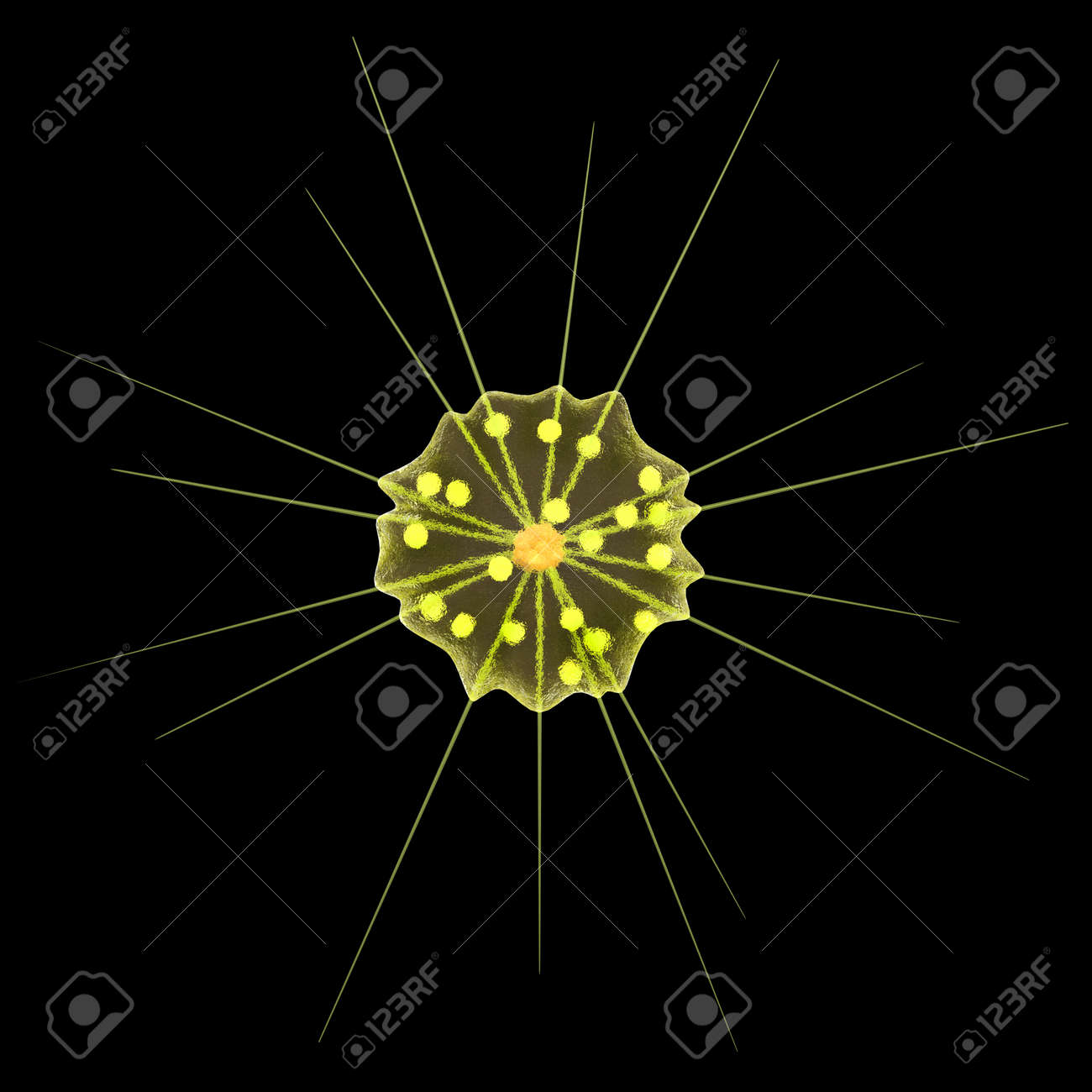 etiam-dictum-ipsum-a-felis