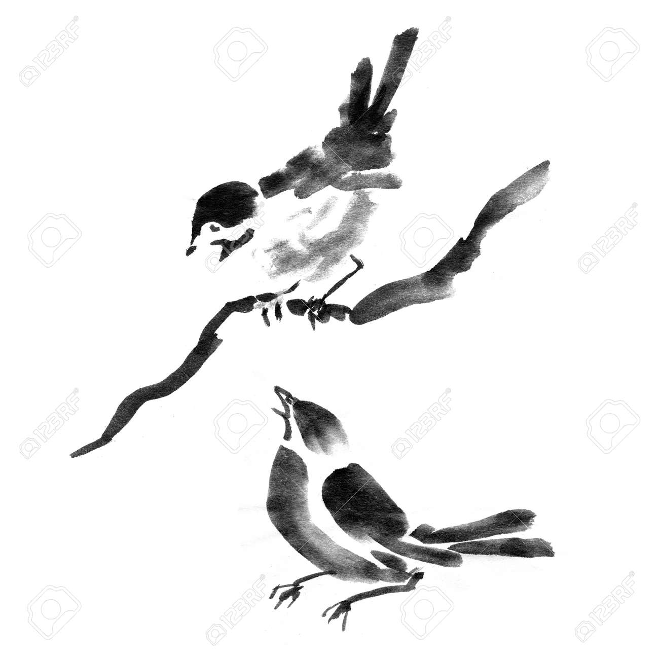 sumi e ink collection of birds watercolor painting stock photo