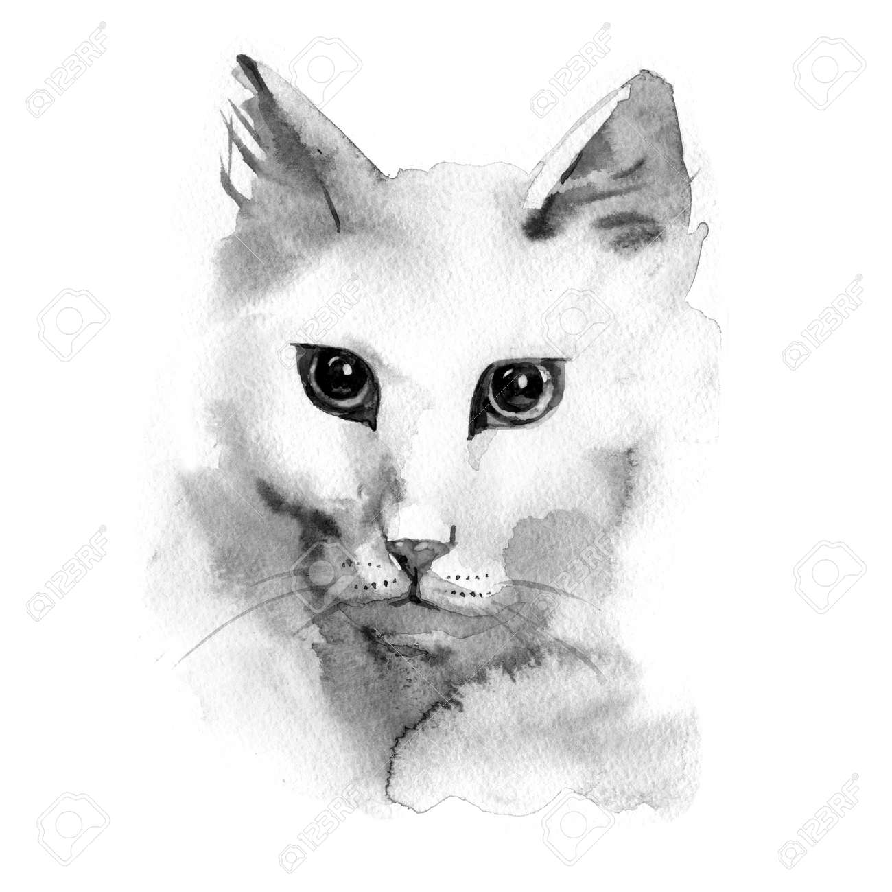 専用 手描きイラスト オリジナル270 専用 手描きイラスト オリジナル 水彩画 白猫と男子