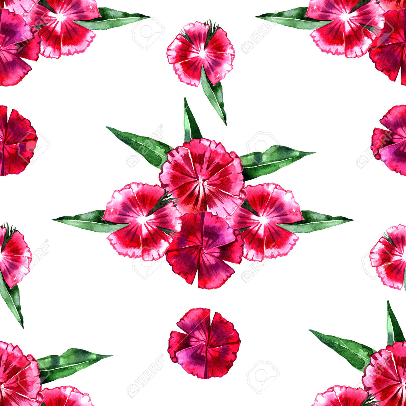 花柄 ピンクの花カーネーションのシームレスな背景 観賞用の春庭テクスチャの頭角を現します の写真素材 画像素材 Image