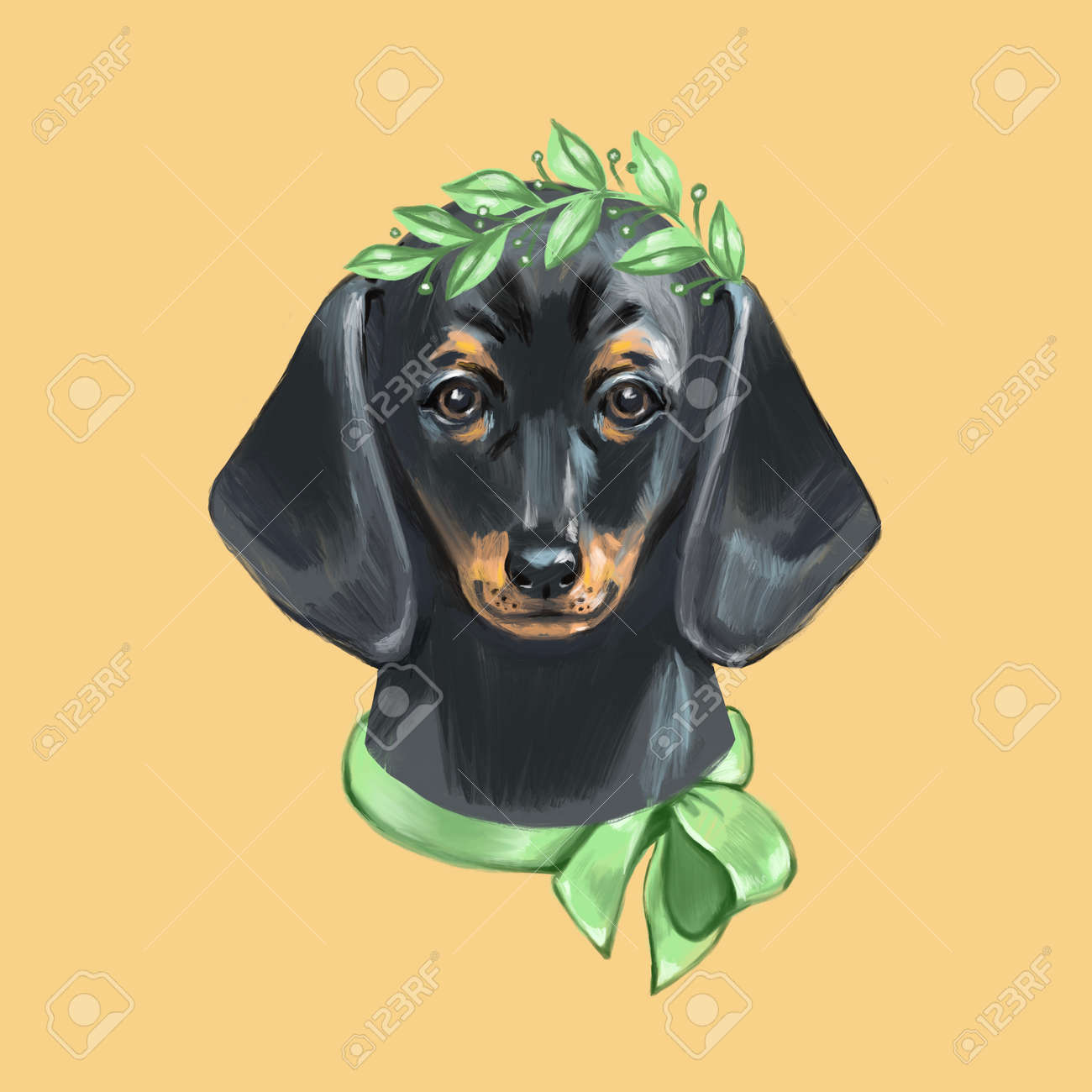 dachshund muzzle
