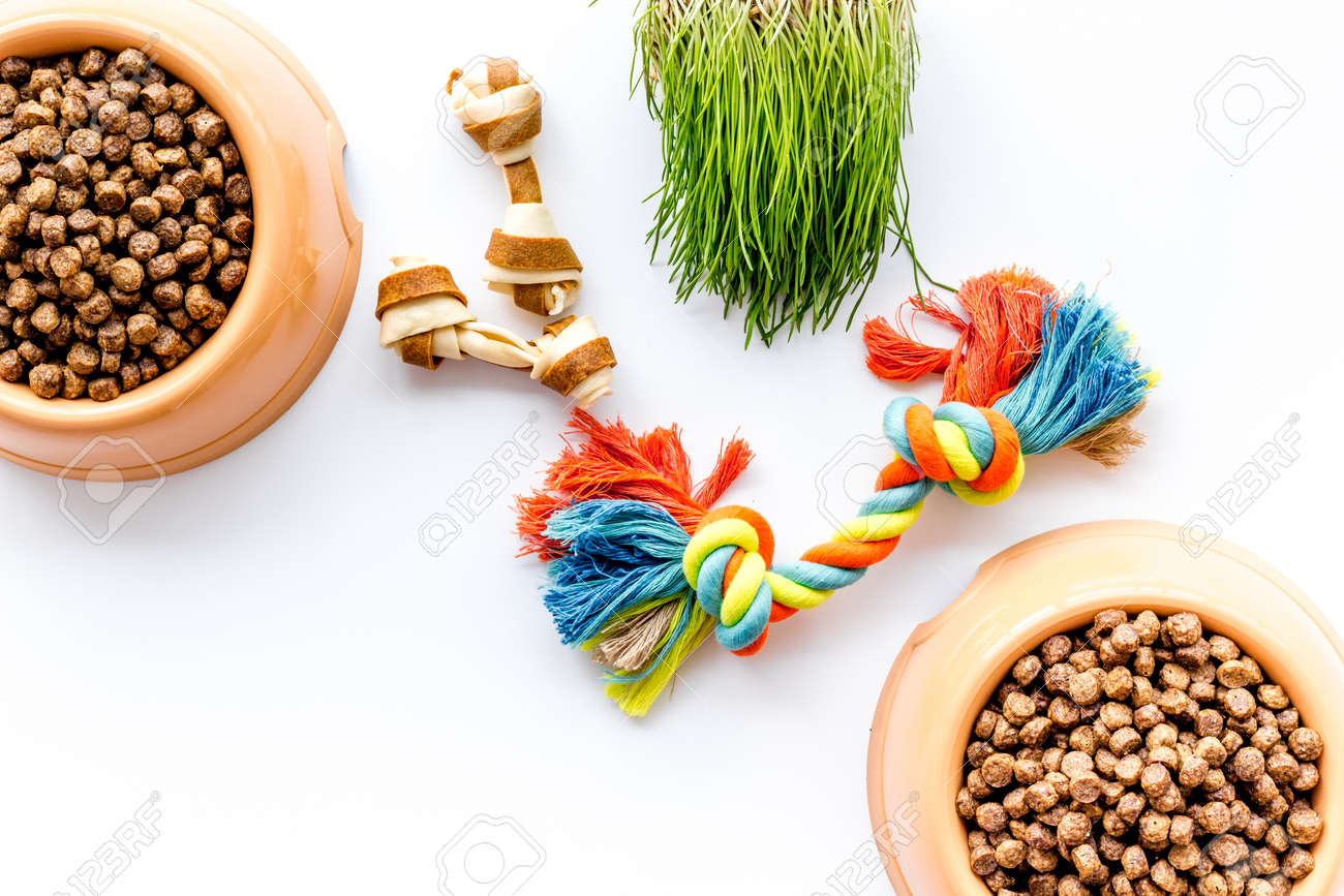 juguetes con comida para perros