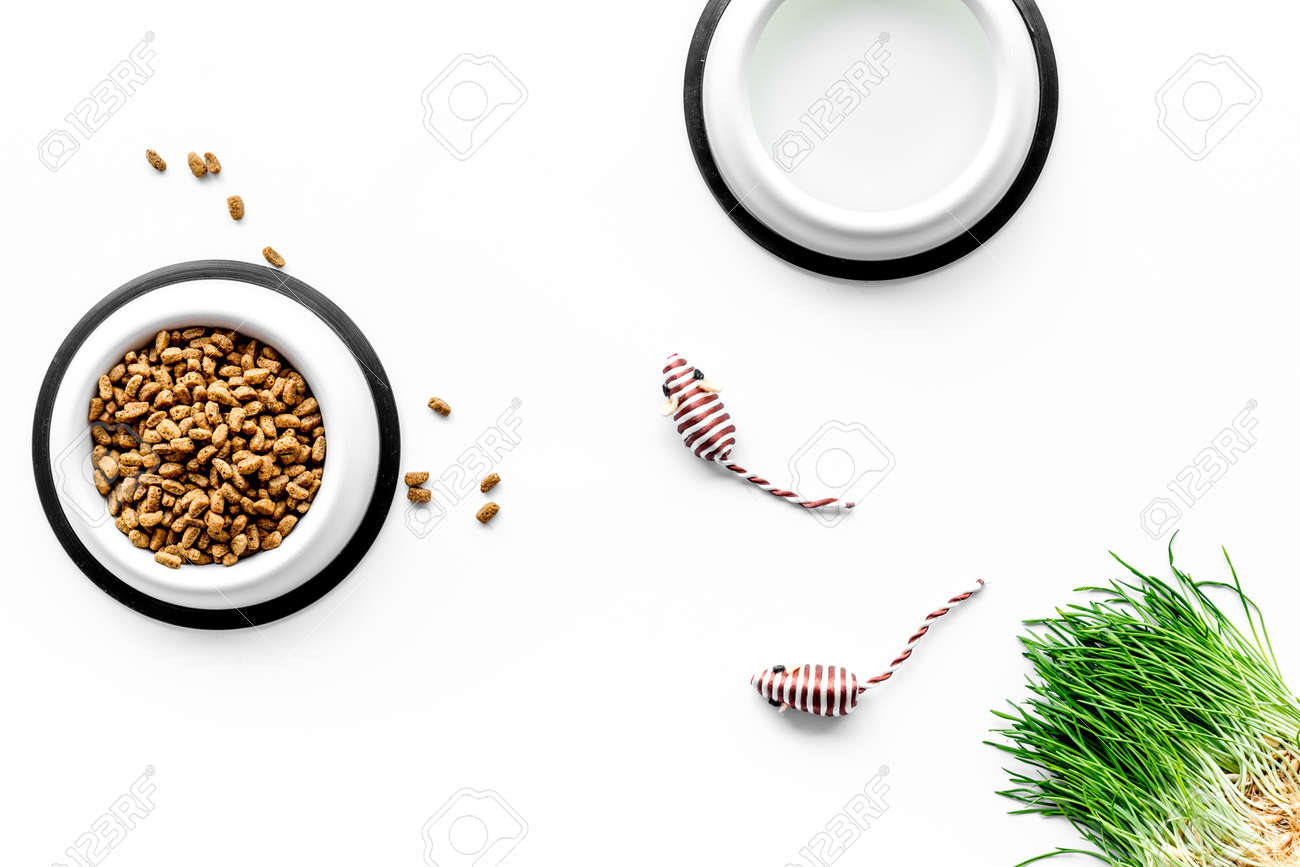 Download Large Plastic Bowl Of Pet Cat Food Spilling On White Table Stock Photo Picture And Royalty Free Image Image 85281383