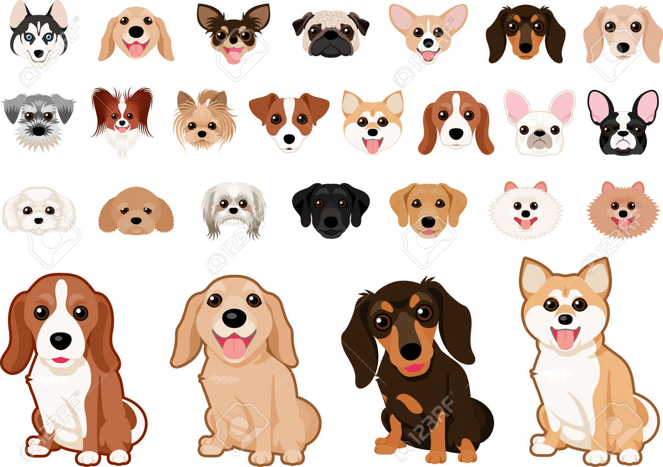 さまざまな犬の品種の犬の設定 のイラスト素材 ベクタ Image 1238