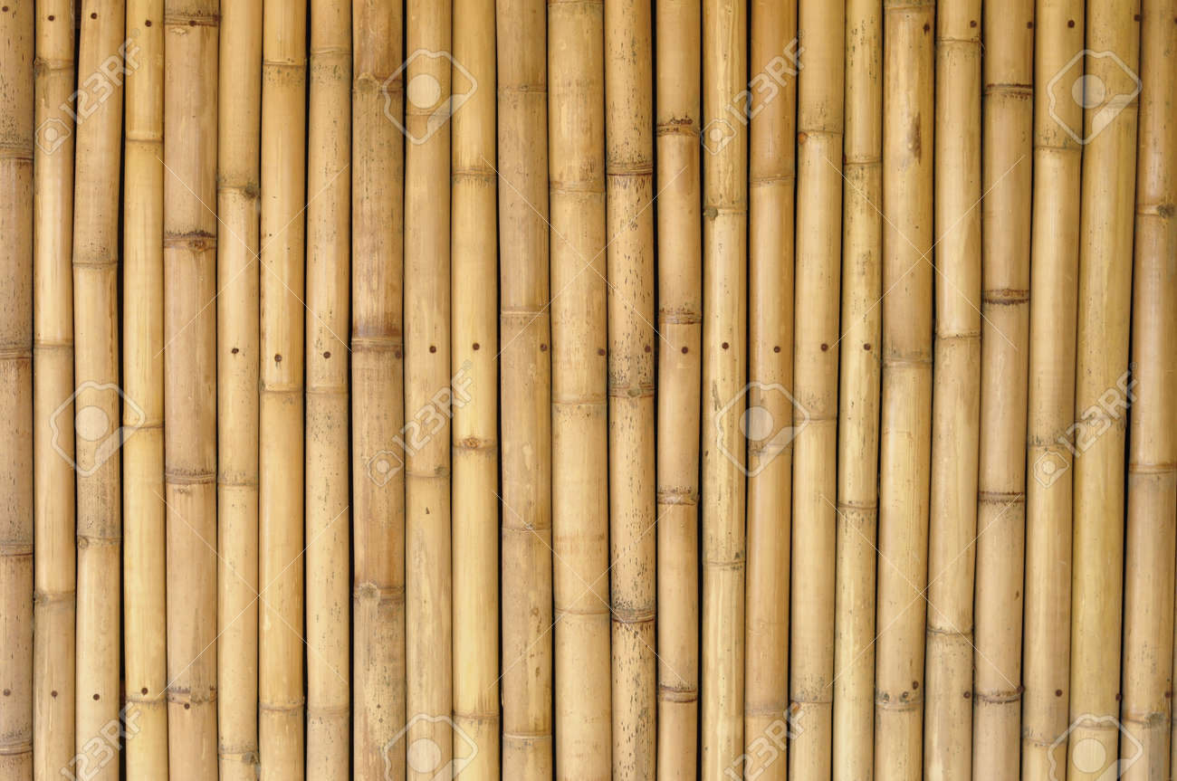 竹のテクスチャ の写真素材 画像素材 Image 竹のテクスチャ の写真素材 画像素材 Image