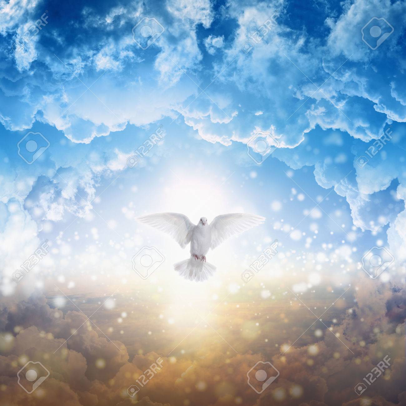 Saint Oiseau Esprit Vole Dans Le Ciel Lumière Brille Du Ciel Colombe Blanche Symbole De Lamour Et De La Paix Descend Du Ciel