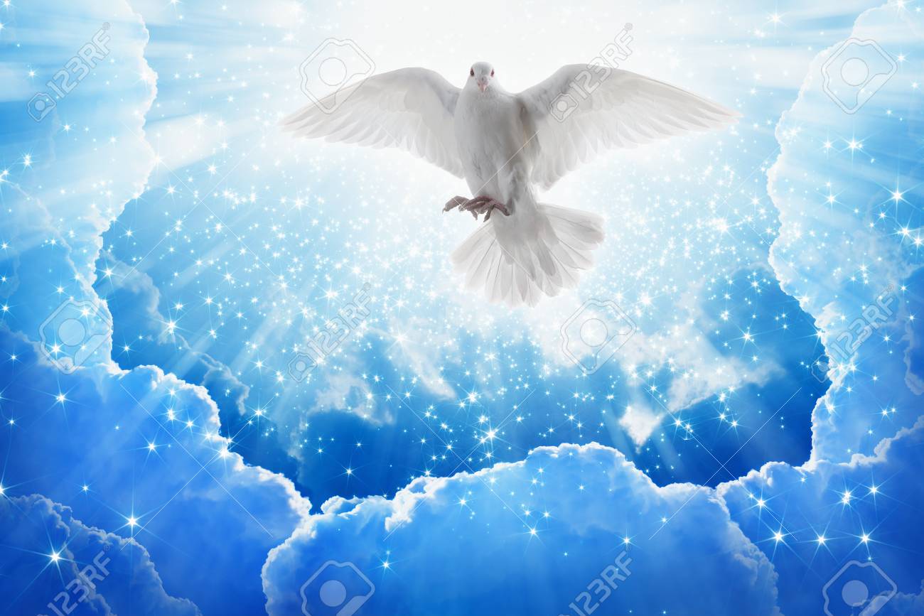 Saint Oiseau Esprit Vole Dans Le Ciel Lumière Brille Du Ciel Colombe Blanche Symbole De Lamour Et De La Paix Descend Du Ciel