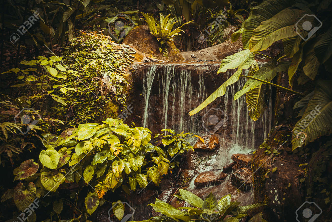 ジャングルの中でのストリーム マレーシア アジアのボルネオ島サバ州 の写真素材 画像素材 Image