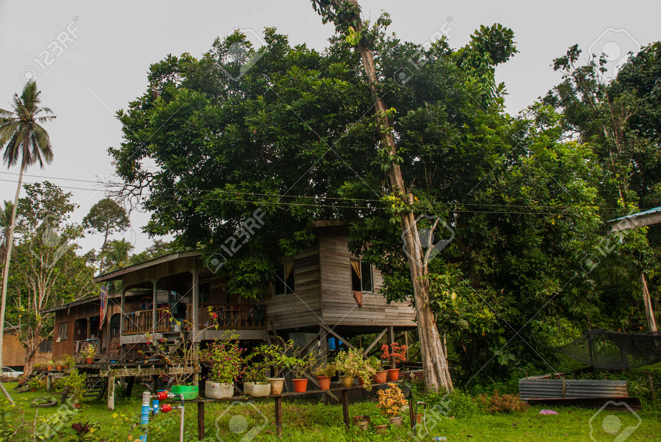 マレーシアでは 伝統的な村はボルネオ島サバ州 高床住宅します 典型的なマレーの村の家の主な特徴は 竹馬や野生動物や洪水を避けるために 杭に構築されます の写真素材 画像素材 Image
