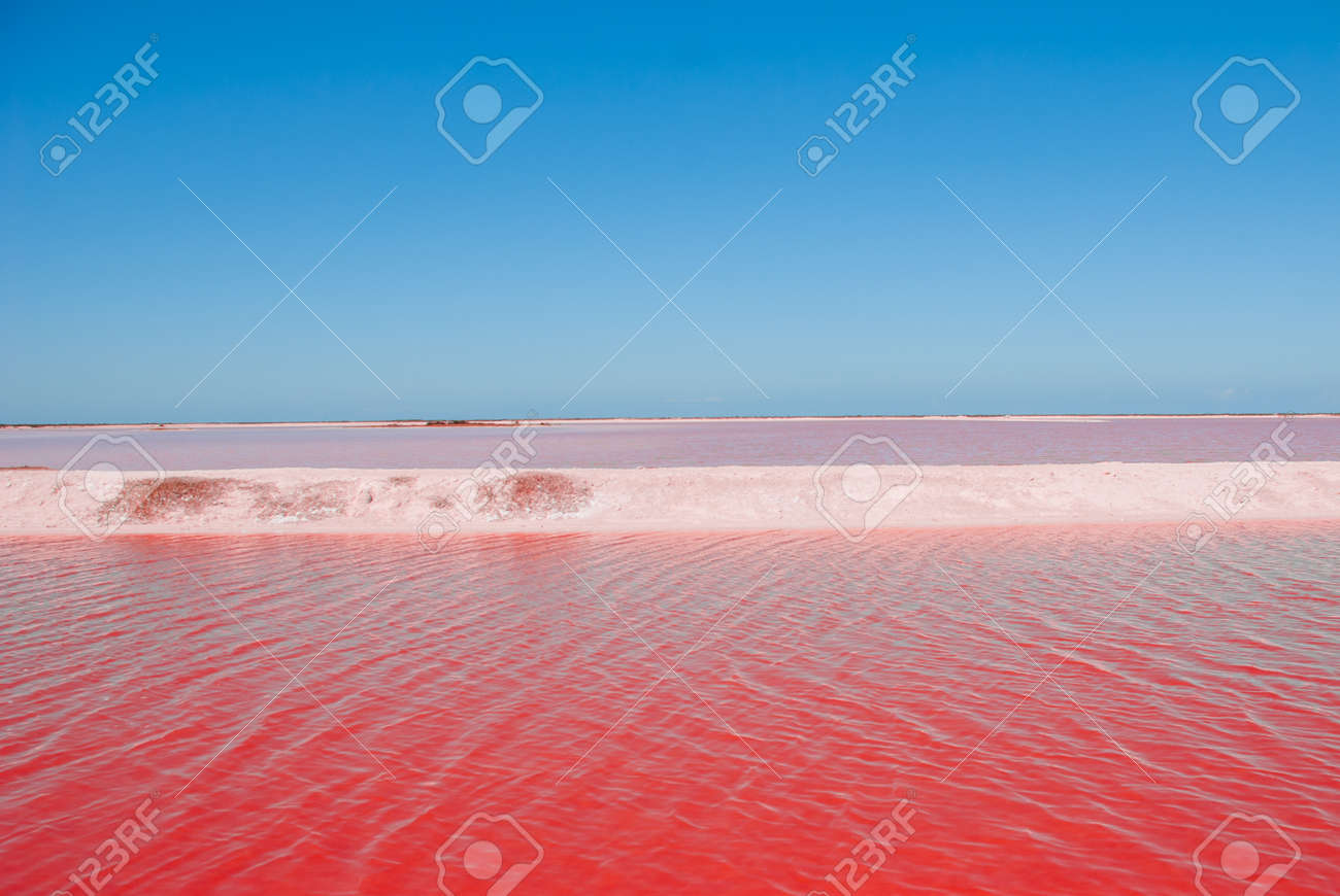 リオラガルトス メキシコ ユカタンの近くの塩の生産に使用される印象的な赤いプール の写真素材 画像素材 Image