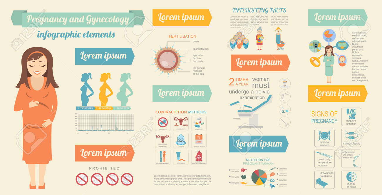 gynecology and pregnancy infographic template motherhood elements