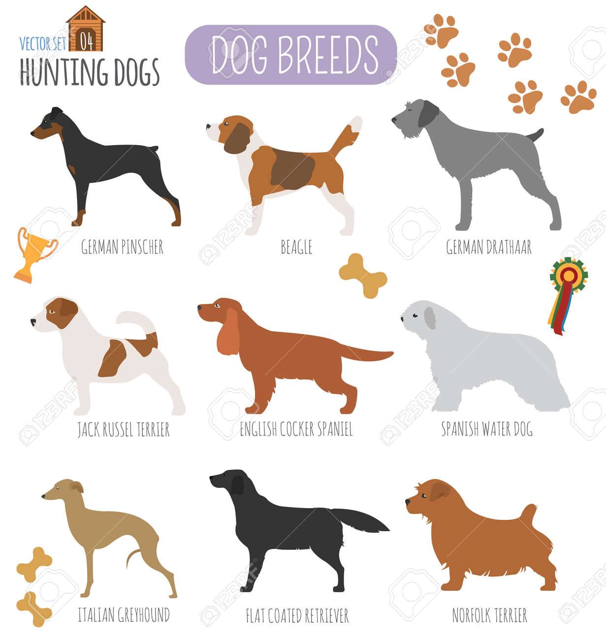 Races De Chiens Chien De Chasse Ensemble Icône Le Style Plat Vector Illustration