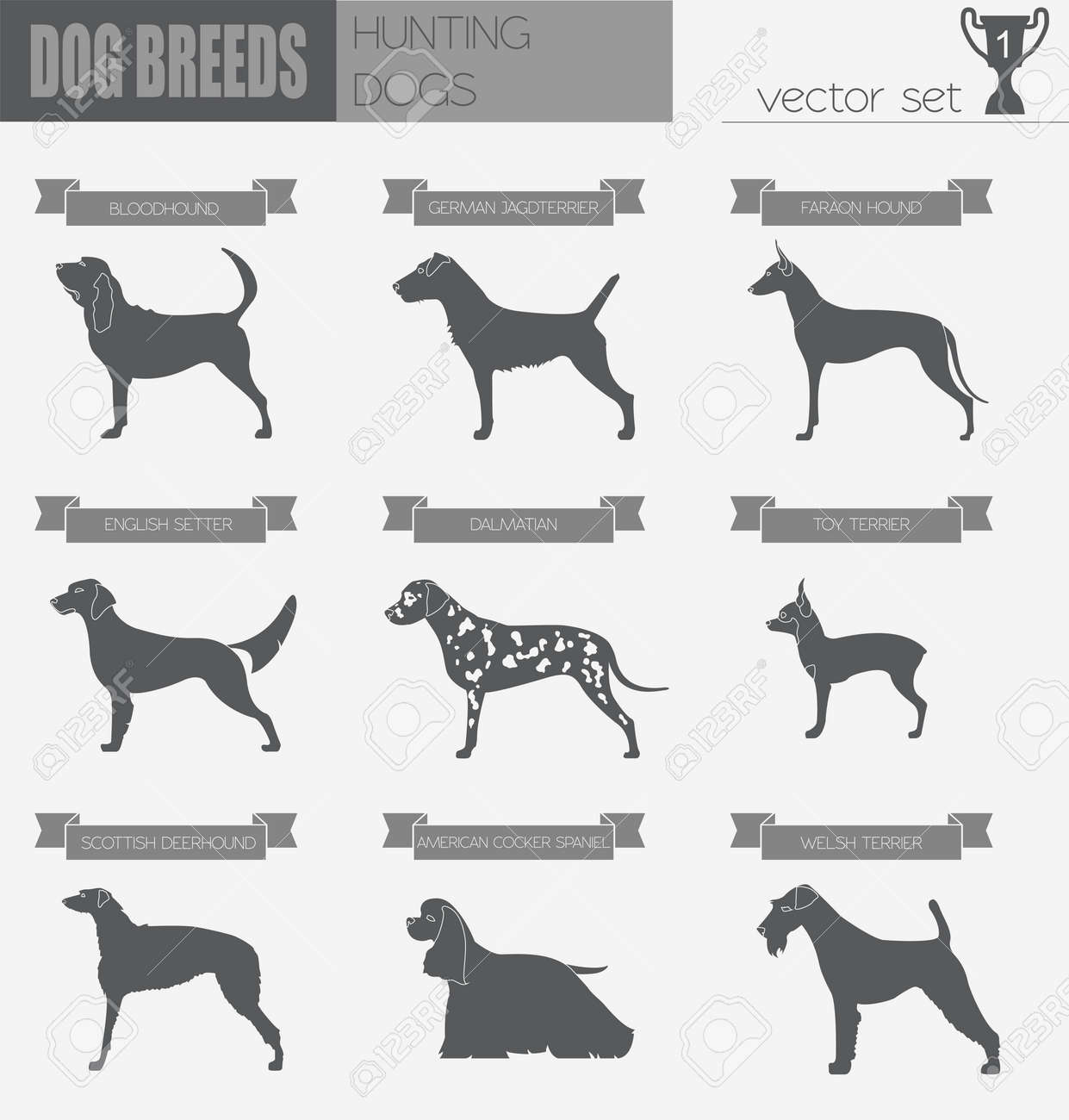 Races De Chiens Chien De Chasse Ensemble Icône Le Style Plat Vector Illustration