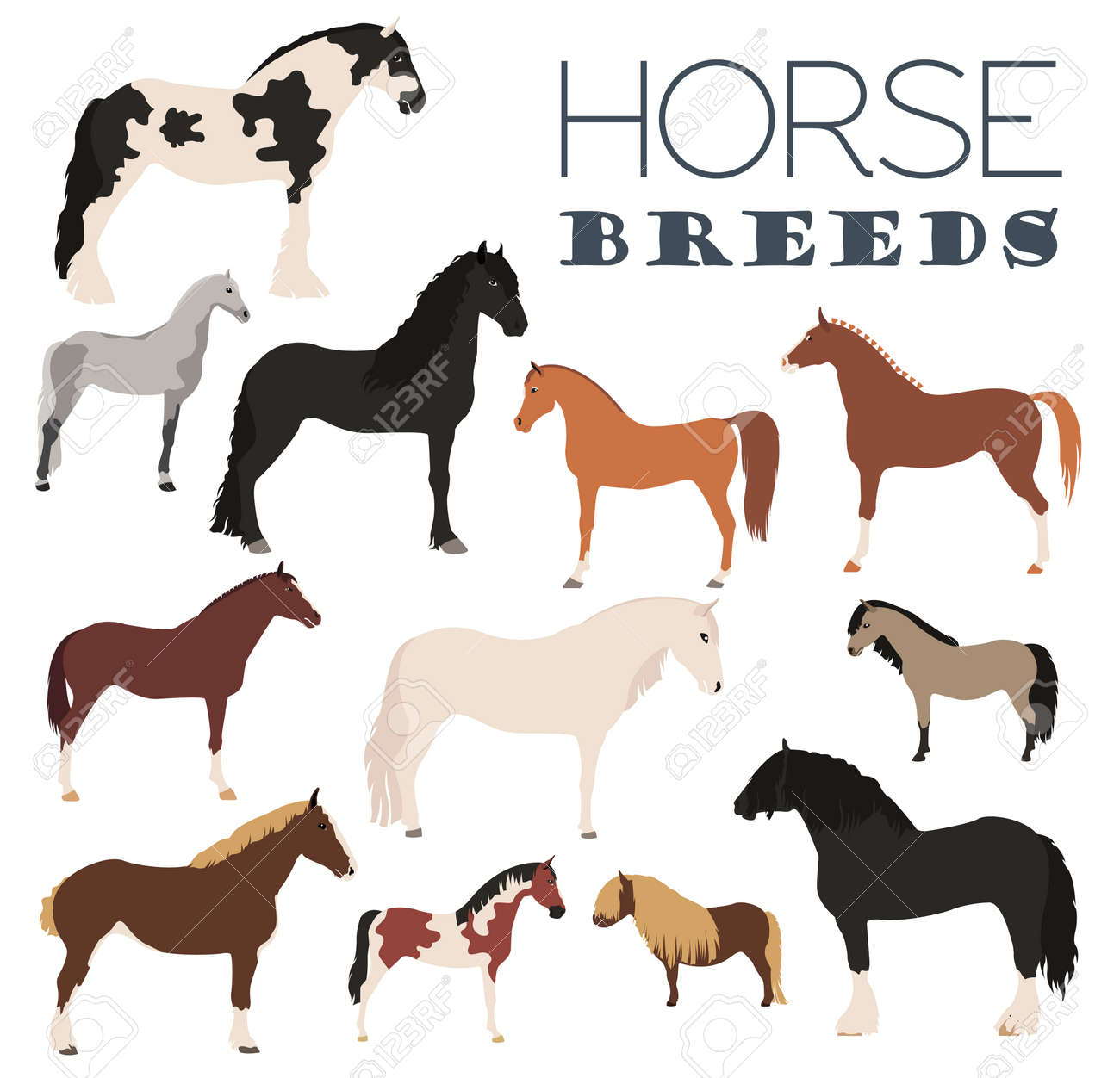 馬繁殖アイコンを設定 農場の動物 フラットなデザイン ベクトル図 のイラスト素材 ベクタ Image