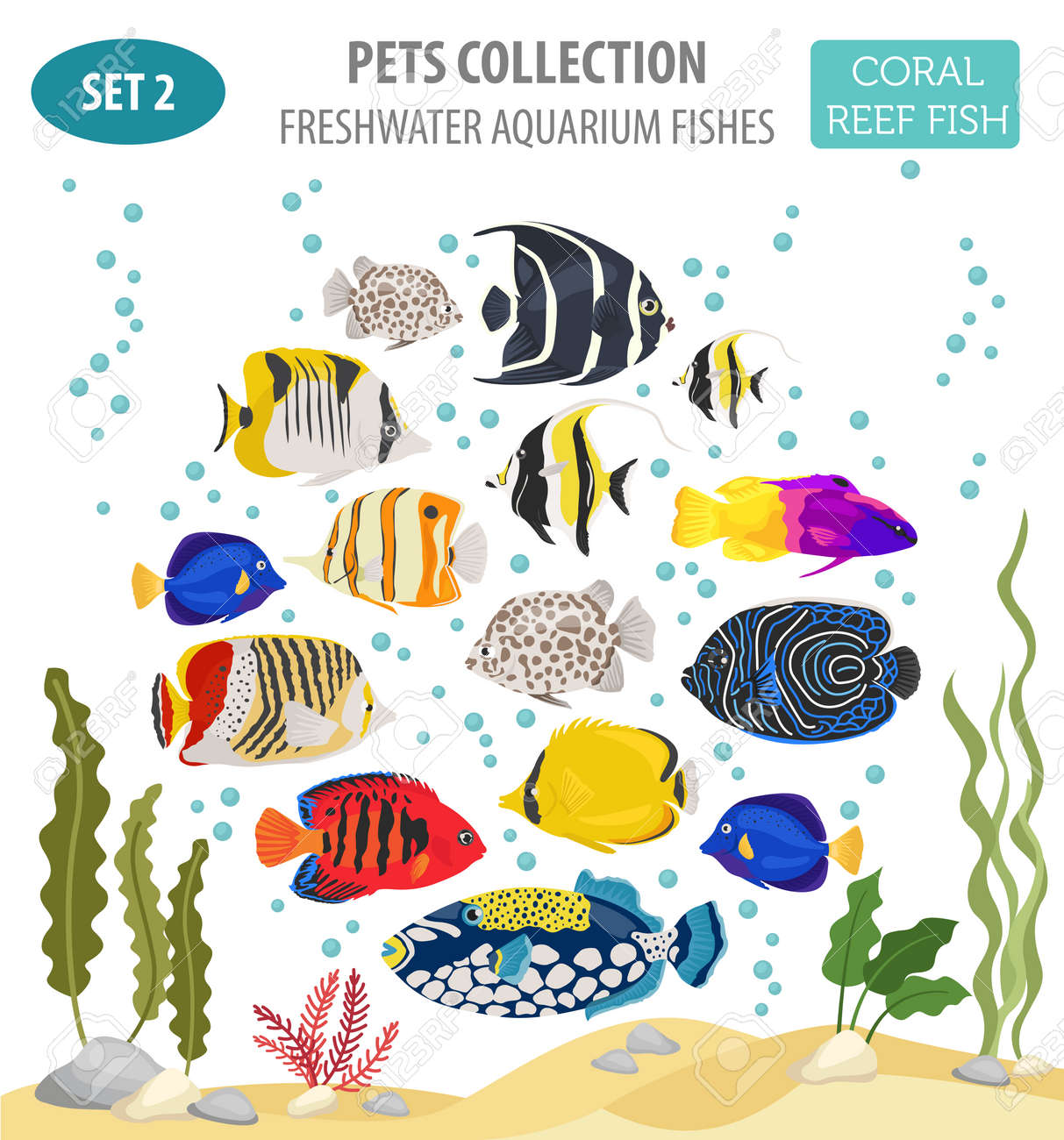 freshwater aquarium fish breeds icon set flat style isolated freshwater aquarium fish chart