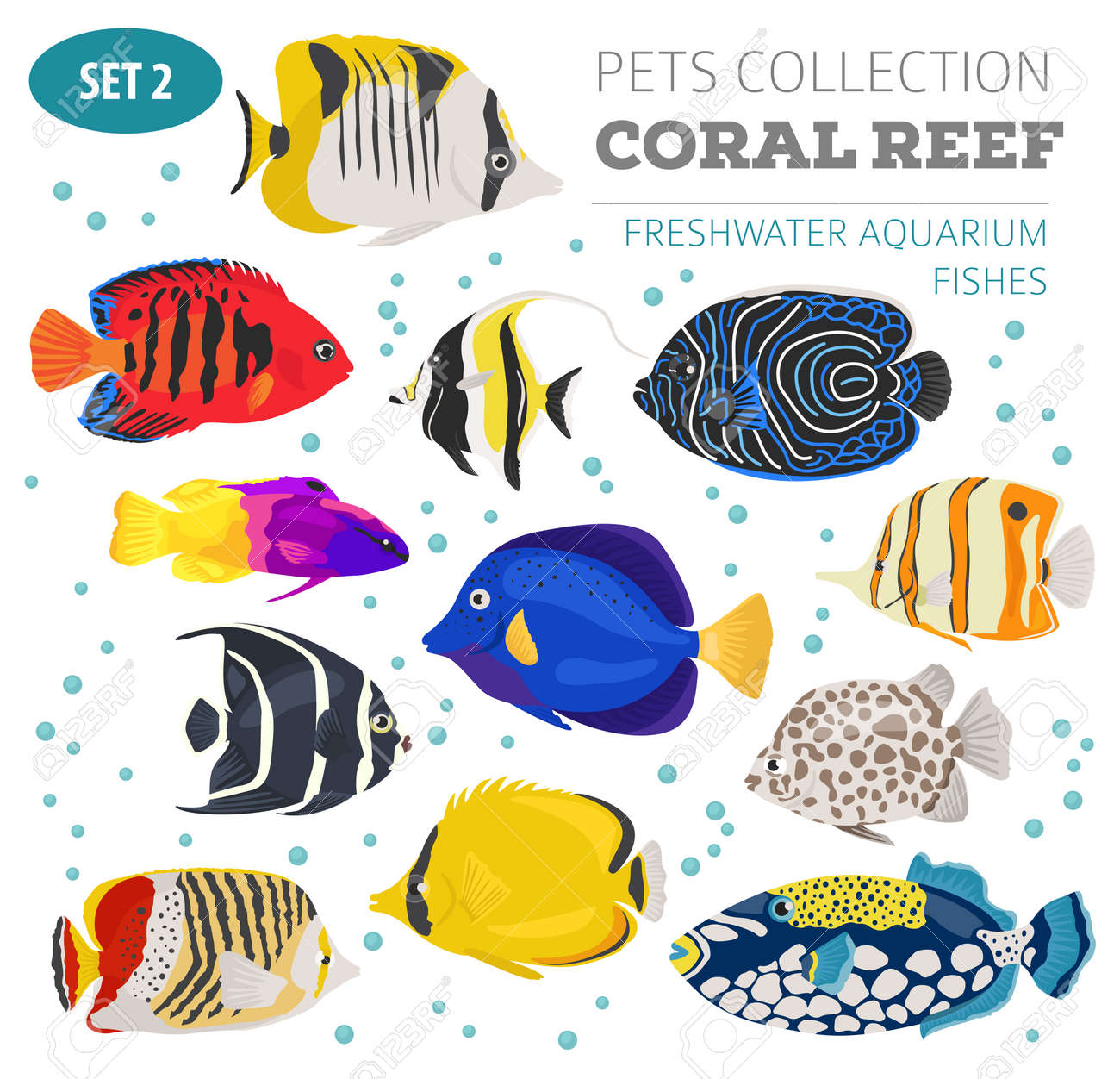 freshwater aquarium fish breeds icon set flat style isolated freshwater aquarium fish chart