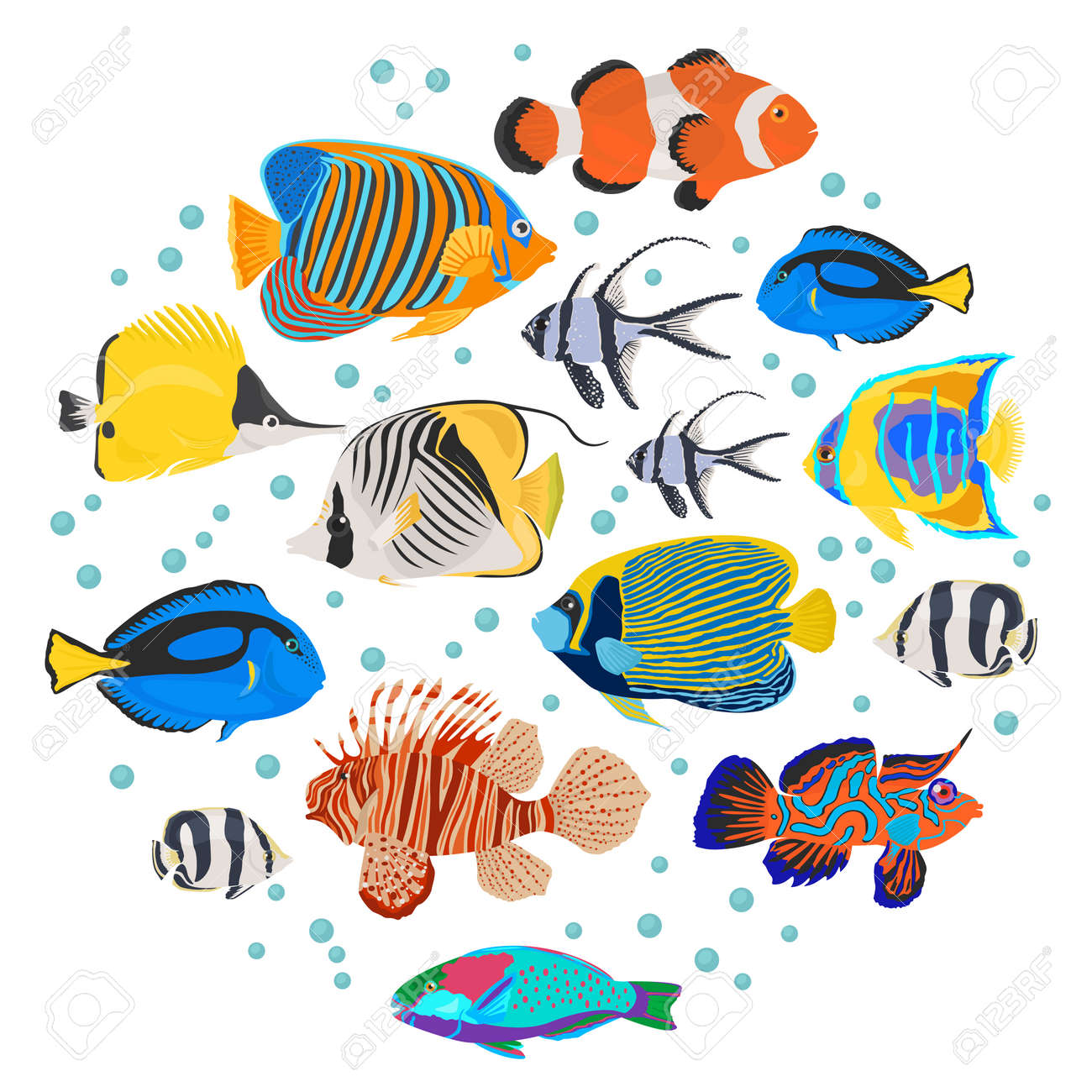 Poisson Daquarium Deau Douce Reproduit Icon Set Style Plat Isolé Sur Blanc Récif De Corail Créez Votre Propre Infographie Sur Animal De Compagnie